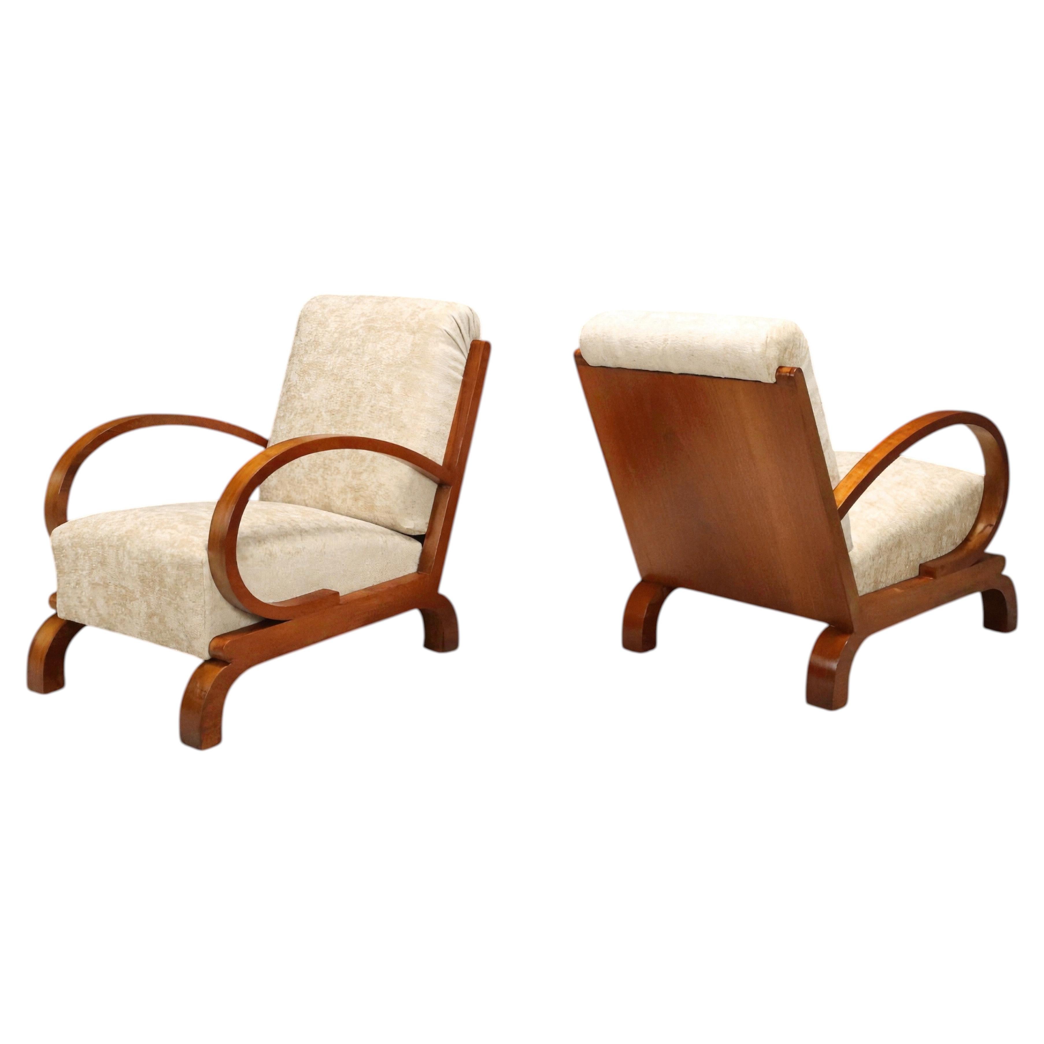 Art-Déco-Lounge-Sessel, Bugholz und elfenbeinfarbener Samt, Mitteleuropa, 1930er Jahre