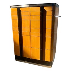 Art Deco / Modernist Multi-drawer Cabinet
