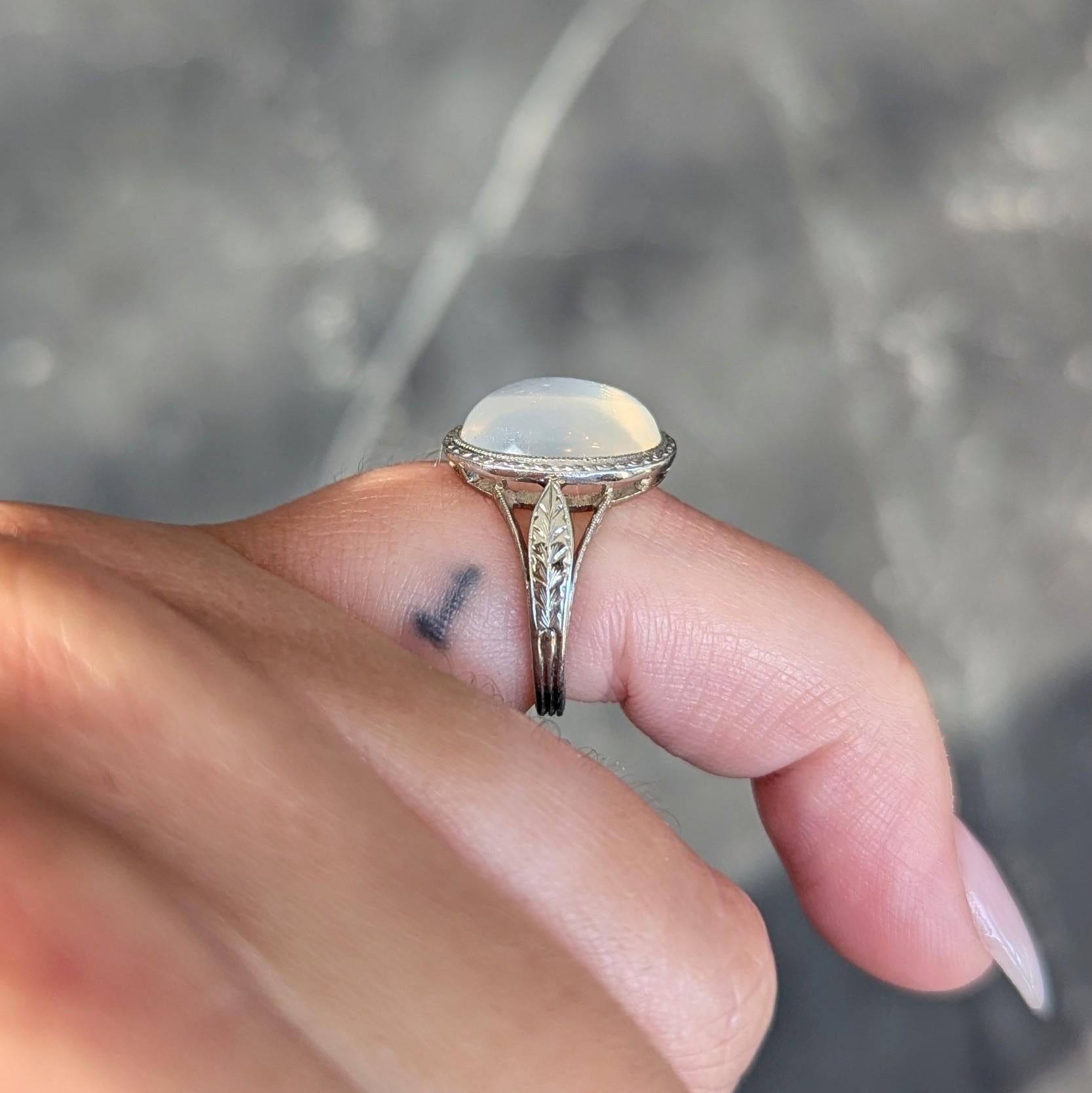 Art Deco Moonstone 18 Karat White Gold Vintage Wheat Dinner Ring For Sale 4