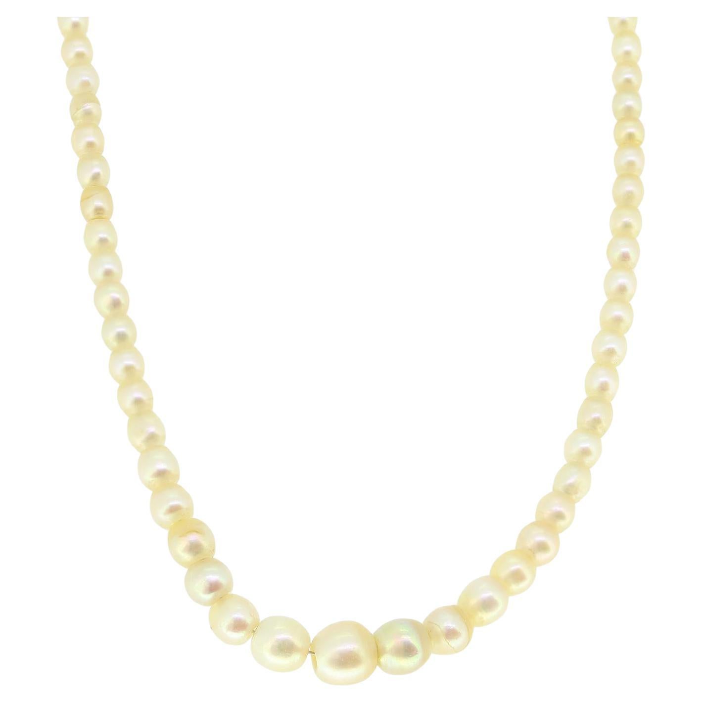 Art Deco Natural Pearl Necklace and Diamond Clasp