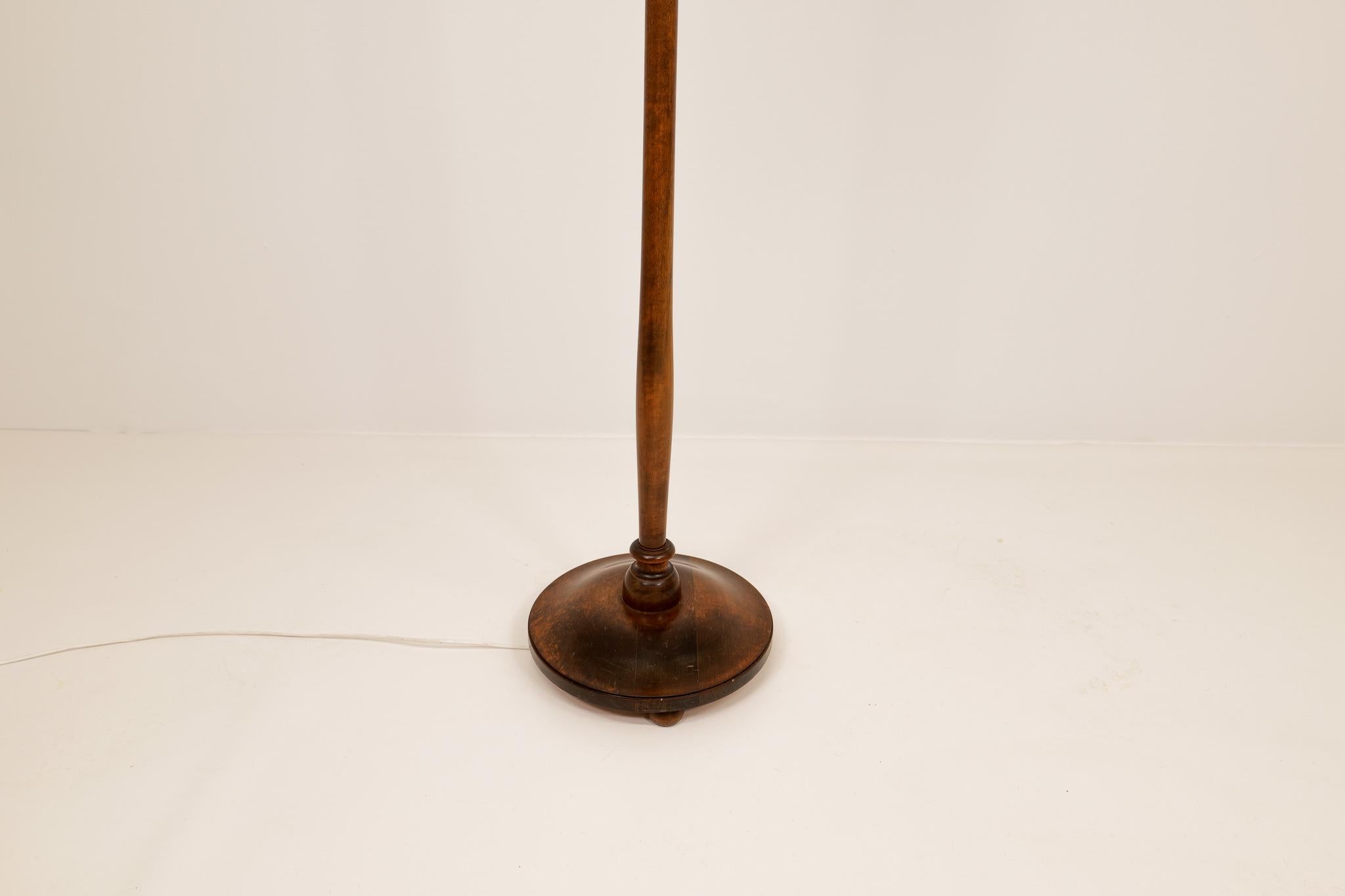 Art Deco Organic Floor Lamp in Stained Birch Sweden, 1930s For Sale 1