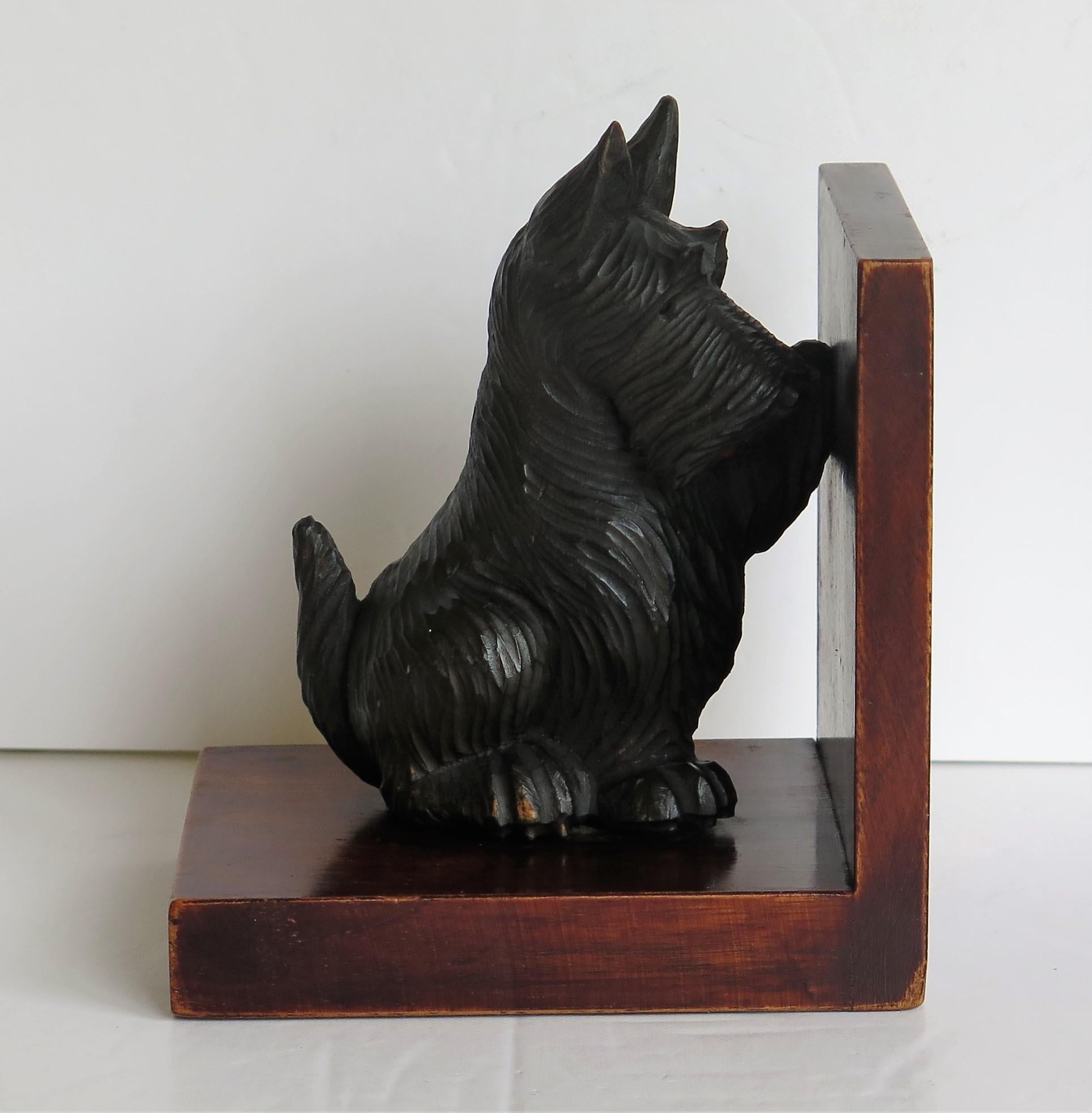 These are a beautiful pair of Art Deco period, Book ends of two different Terrier dogs on hardwood frames.

Each dog has been very well modelled with good detail. The dogs are made of wood or a moulded composite material, then hand painted. The