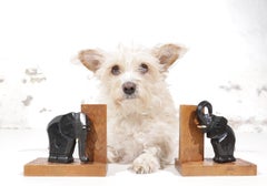 Art Deco Pair of Hand-Carved Wooden Elephant Bookends Free Shipping