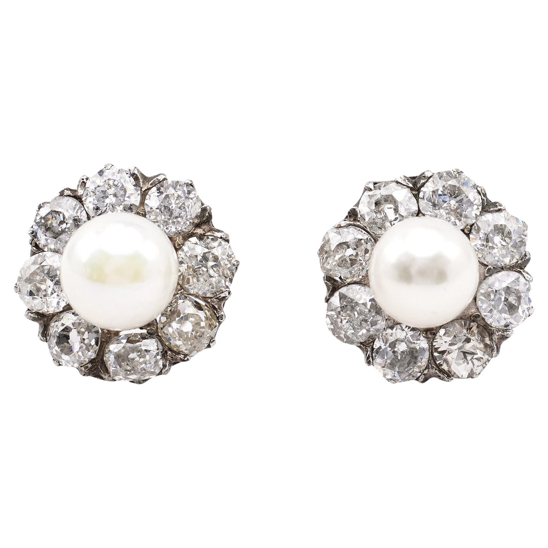 Art Deco Pearl and Diamond 14k White Gold Cluster Stud Earrings For Sale