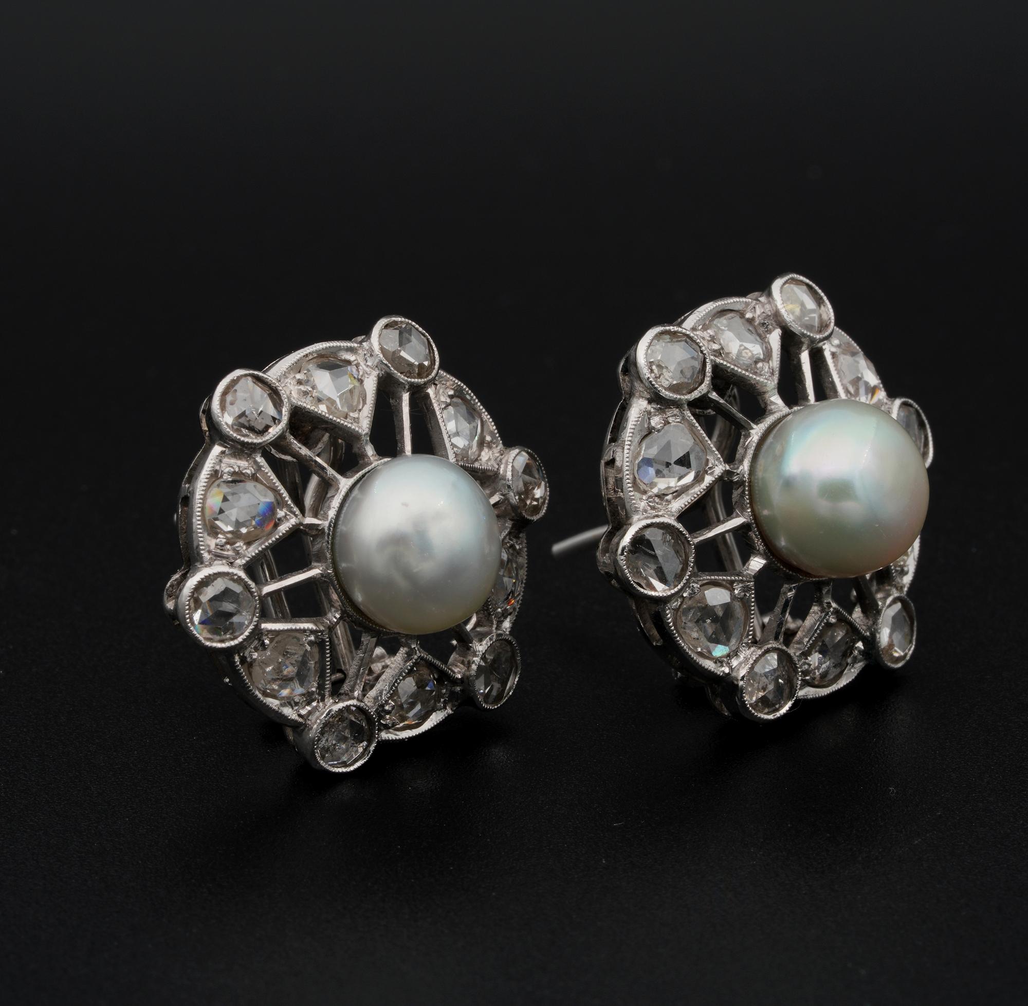Art Deco Pearl Rose Cut Diamond Platinum Earrings In Good Condition For Sale In Napoli, IT