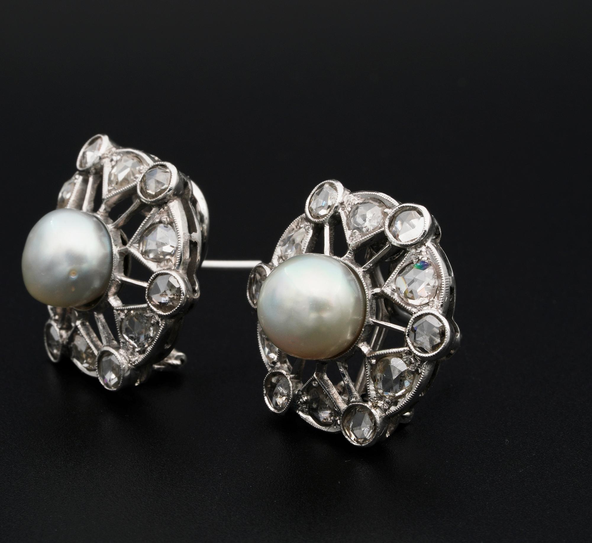 Women's Art Deco Pearl Rose Cut Diamond Platinum Earrings For Sale