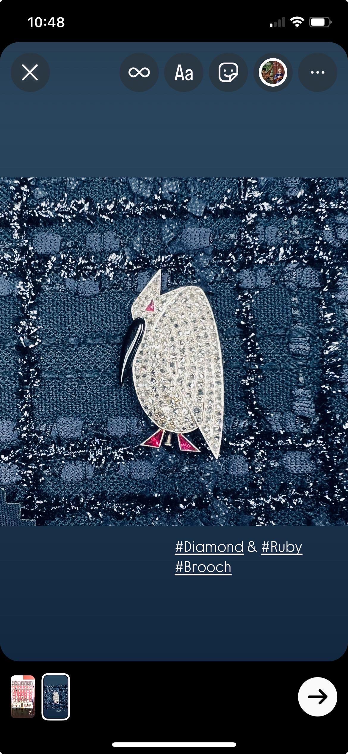 Spilla Art Déco in platino con diamante e rubino in vendita 1
