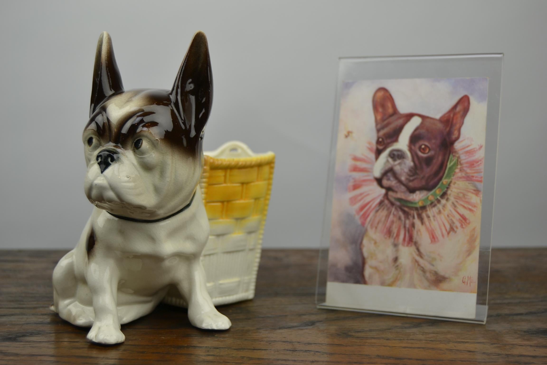 Art Deco porcelain French bulldog figurine - bulldog statue - bulldog planter - bulldog with little storage jar.
This animal statue has a craquele patina and does have some imperfections, but he's very charming and cute.
The dog figurine has a