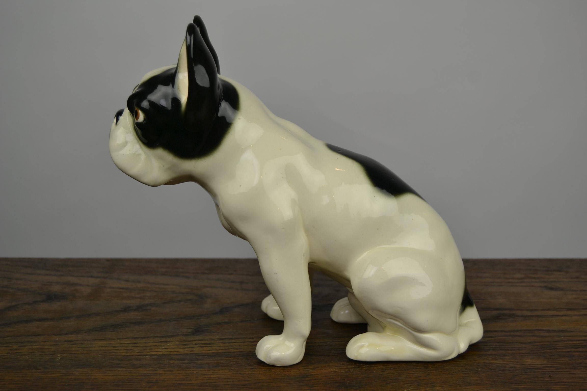 Art Deco Porcelain French Bulldog Figurine, Germany, 1930s In Good Condition In Retie, BE