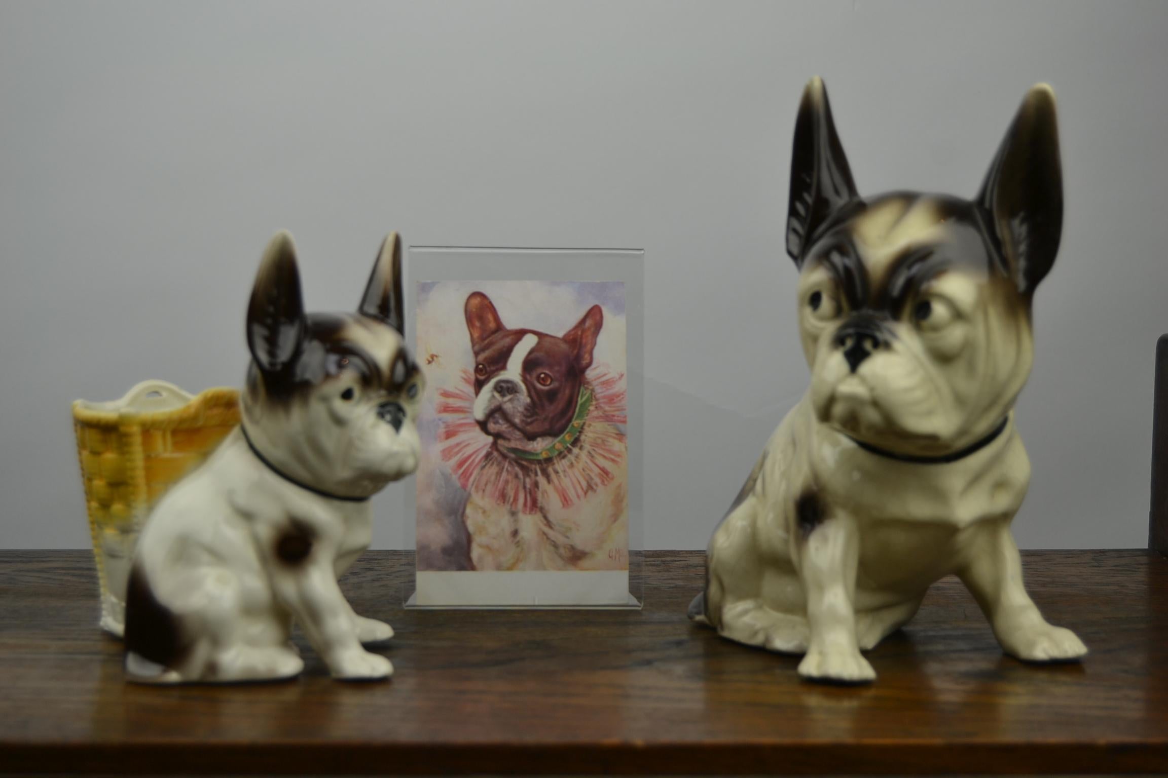 Art Deco  Porcelain French Bulldog Figurine , Germany  7