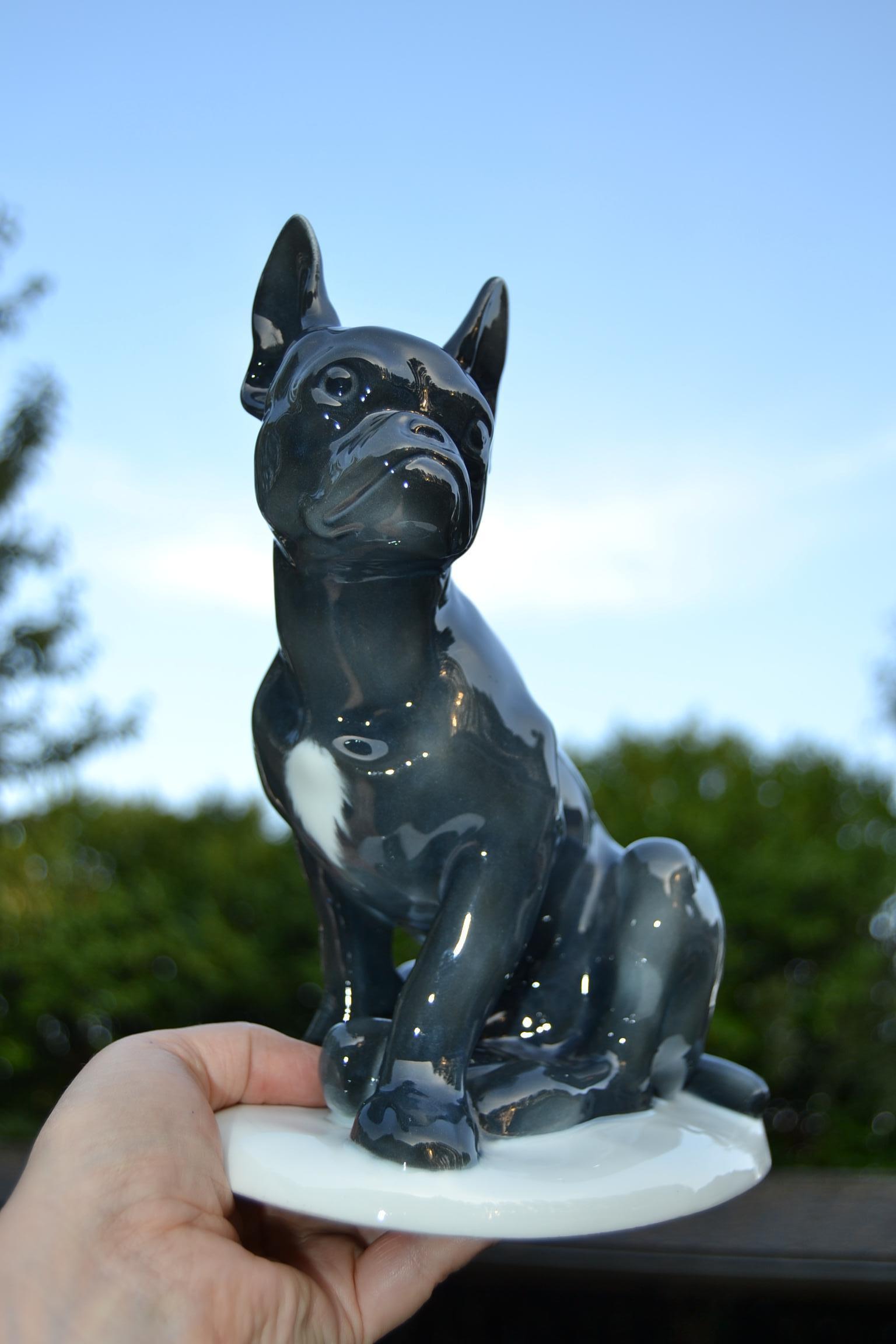 Otto Thiem French Bulldog, Fraureuth, Porcelain, Germany, 1920s 6