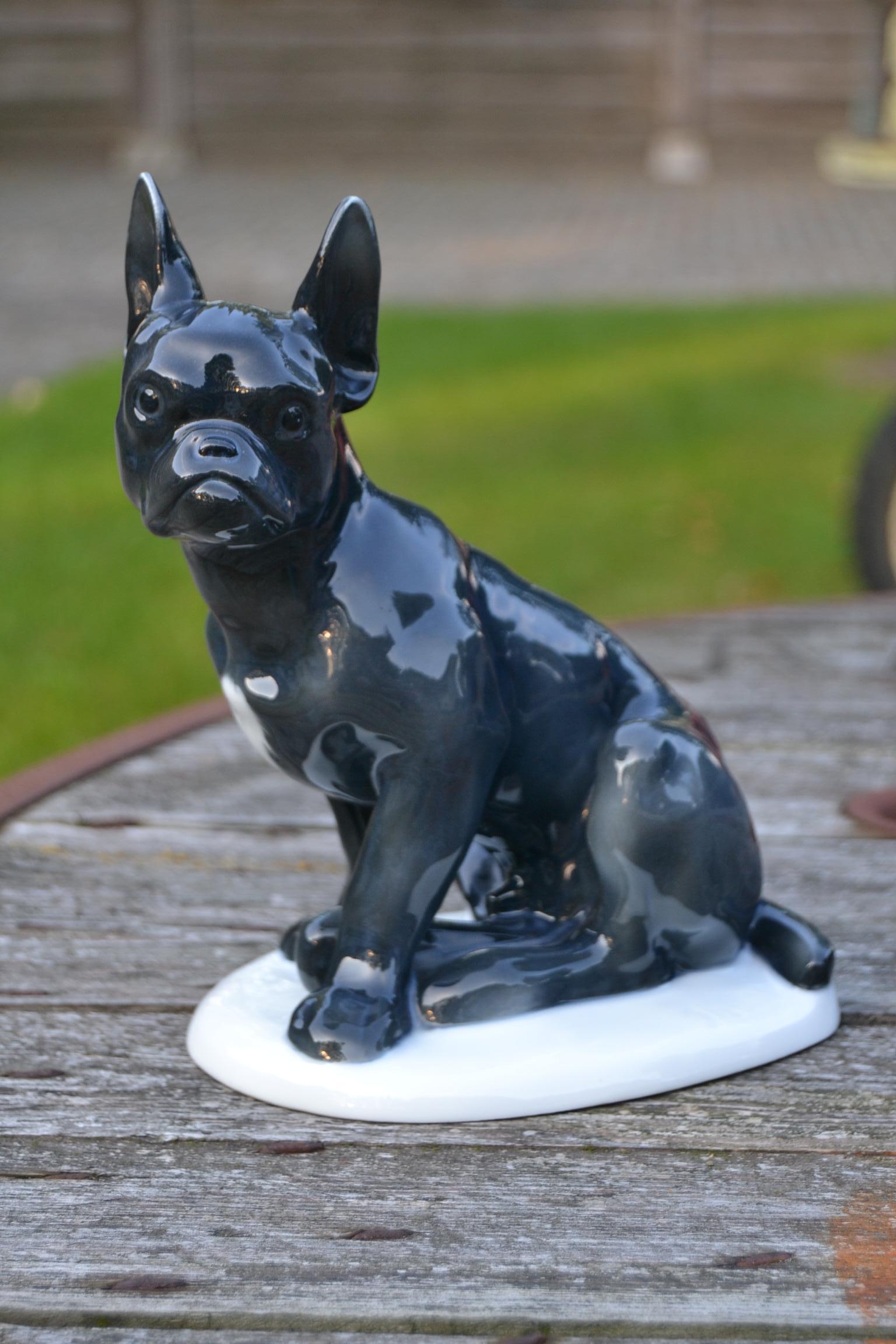 Art Deco porcelain French Bulldog figurine.
This blue - grey dog figurine was designed by Otto Thiem, for the porcelain factory Fraureuth Kunstabteilung Germany.
This large French bulldog sculpture
is signed THIEM and is also numbered: