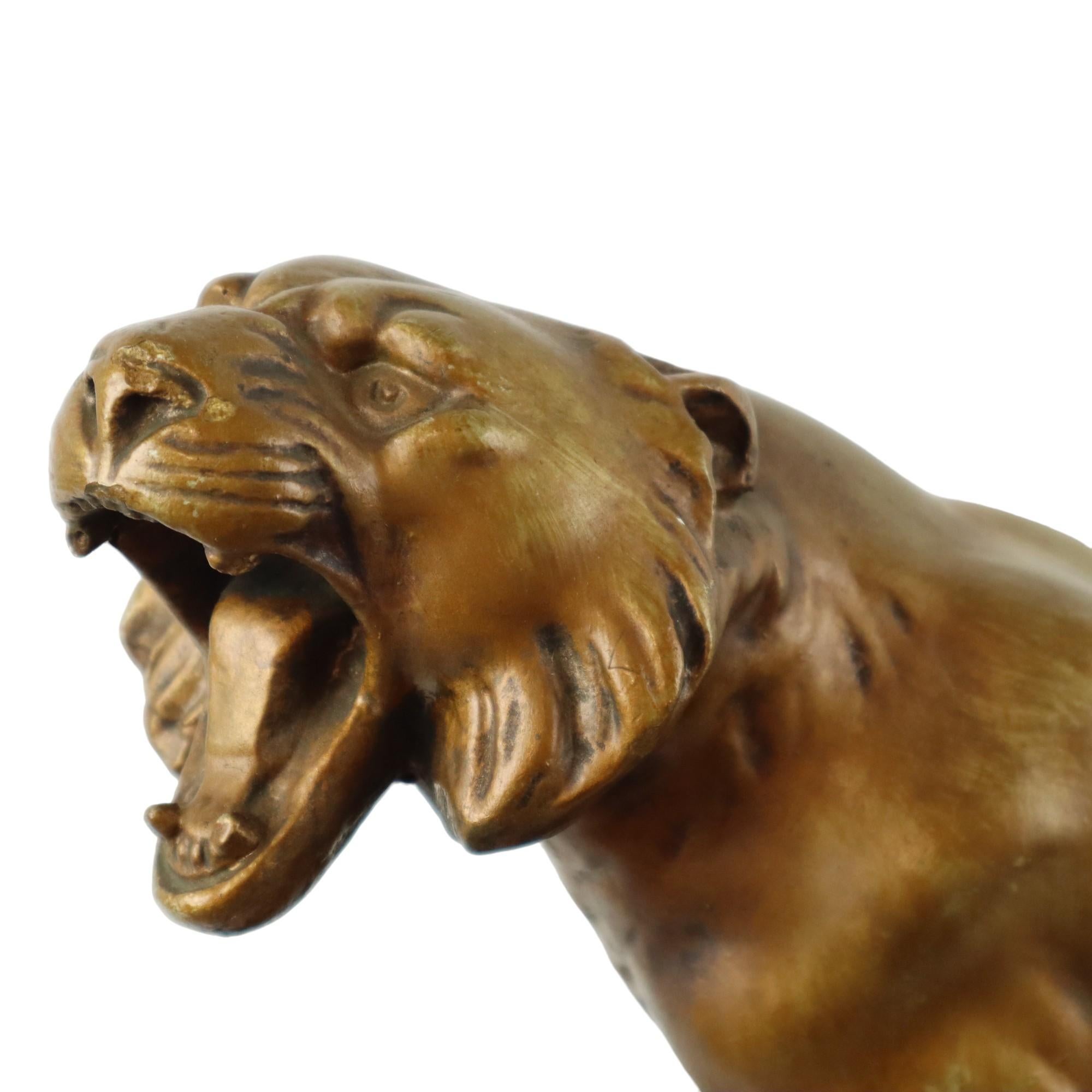 Old statue of a roaring tiger, after an antique example, this statue has a bronze patina and is made of plaster, art deco period, first half of the 20th century.

In good vintage condition, some small spots on the bronze layer, a production error,