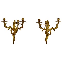 Art Deco Rococo Pair of Gold Gilt Bronze Wall Sconces Candelabra Louis XV