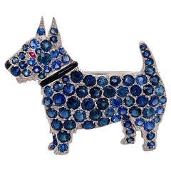 Art Deco Sapphire Terrier Brooch with Ruby Eye & Onyx Collar & Nose