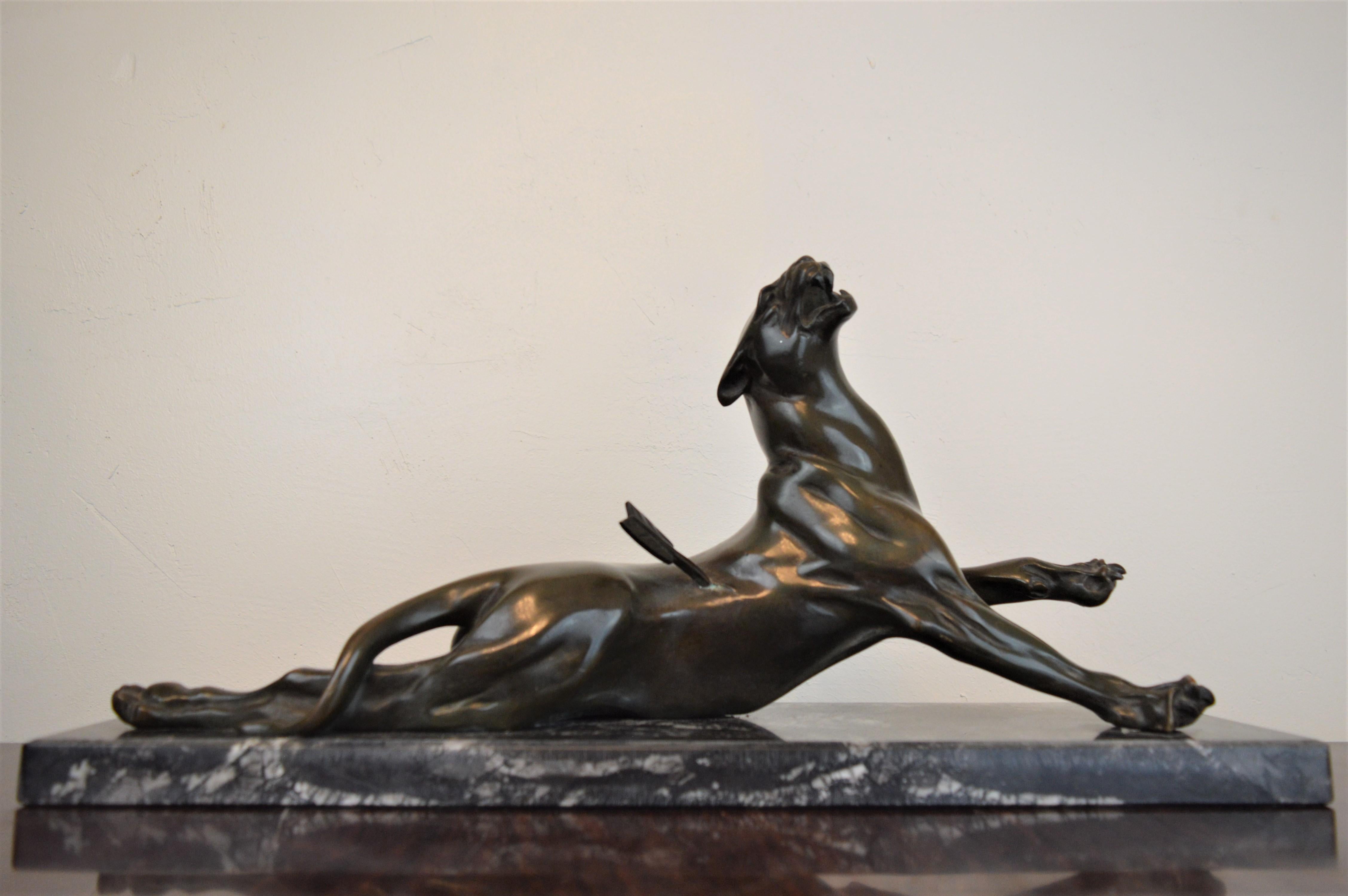 Beautiful sculpture of a wounded panther in bronze, on a marble base. Amazing patina.