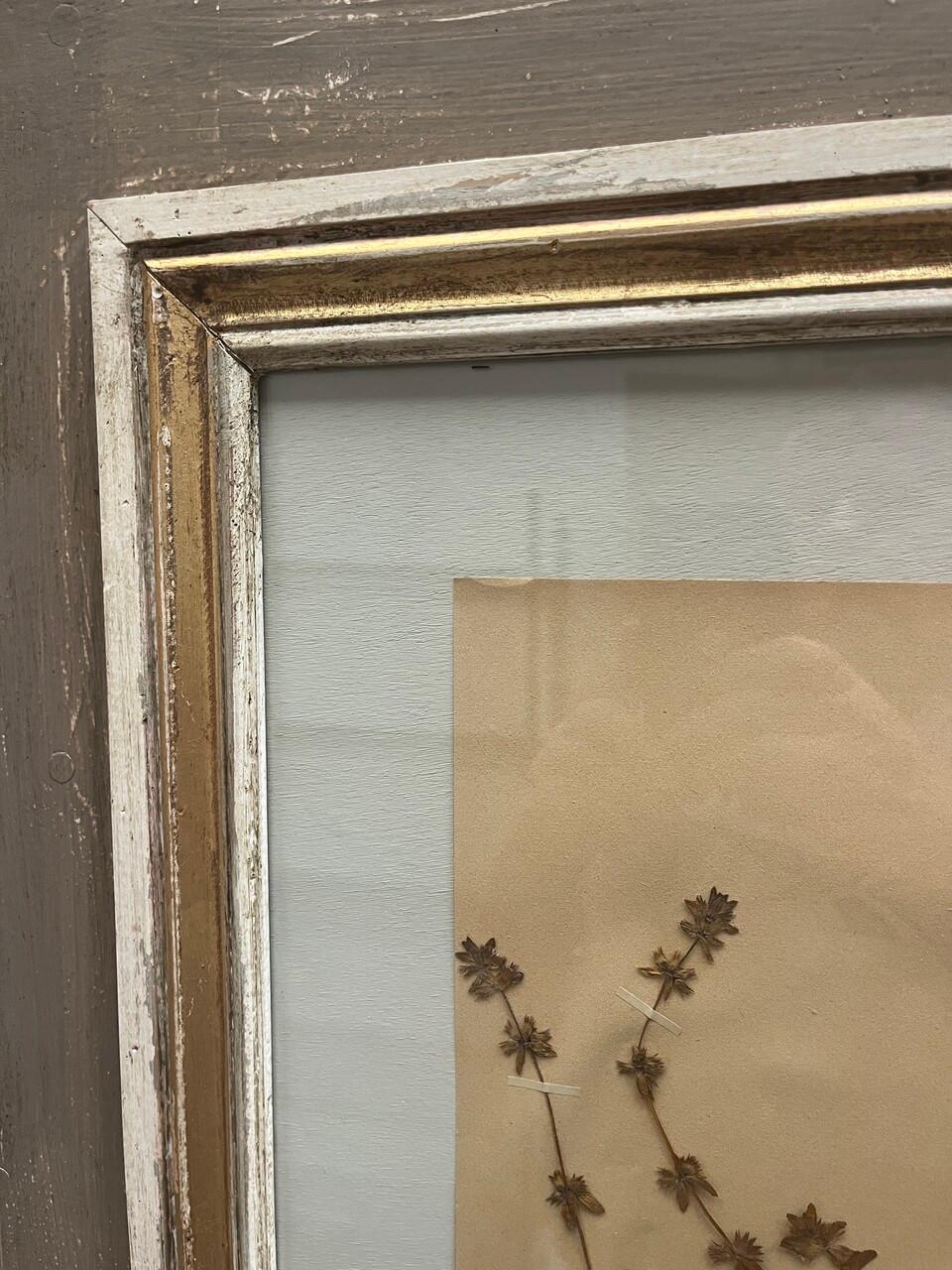 Art Deco Set of 9 Framed Pressed Botanicals For Sale 4