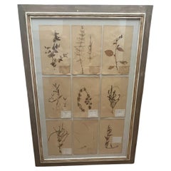 Antique Art Deco Set of 9 Framed Pressed Botanicals