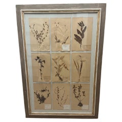 Decorative Art