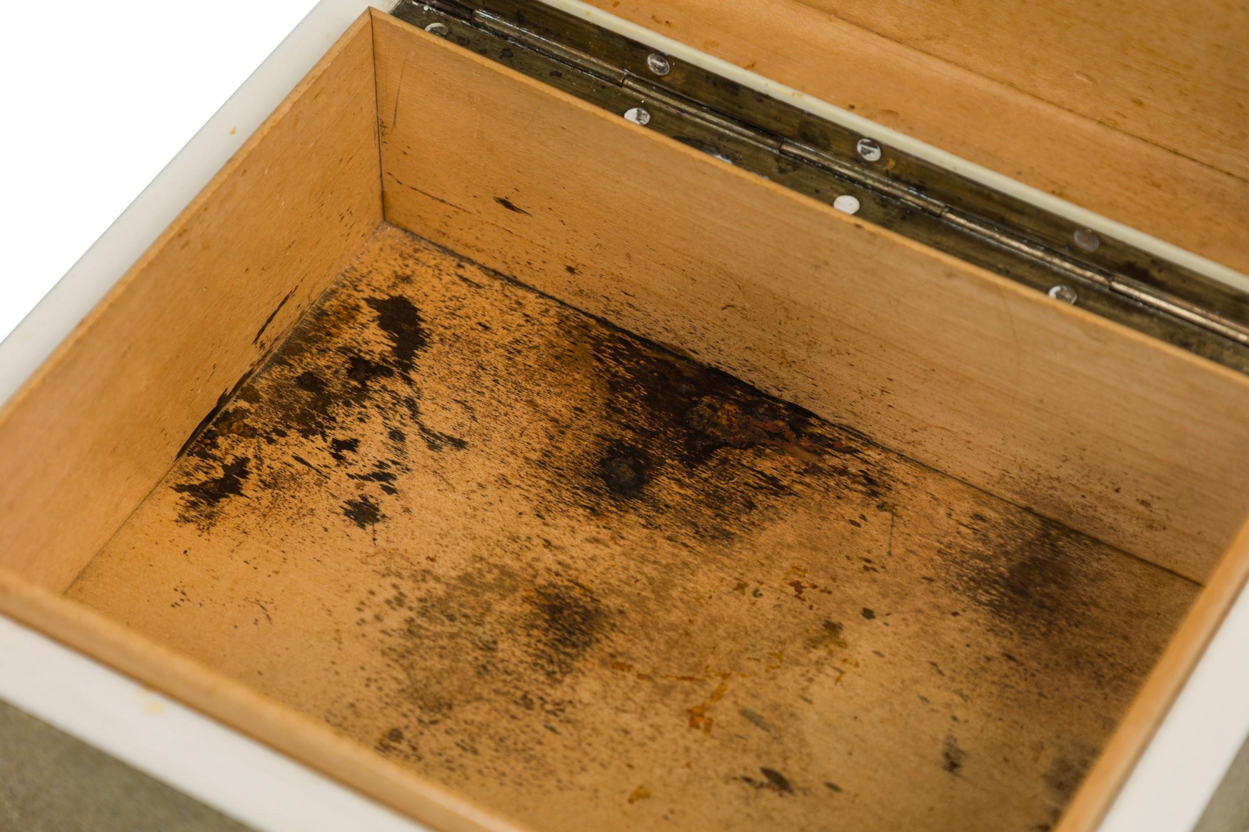 Art Deco Shagreen and Bone Trimmed Box For Sale 5