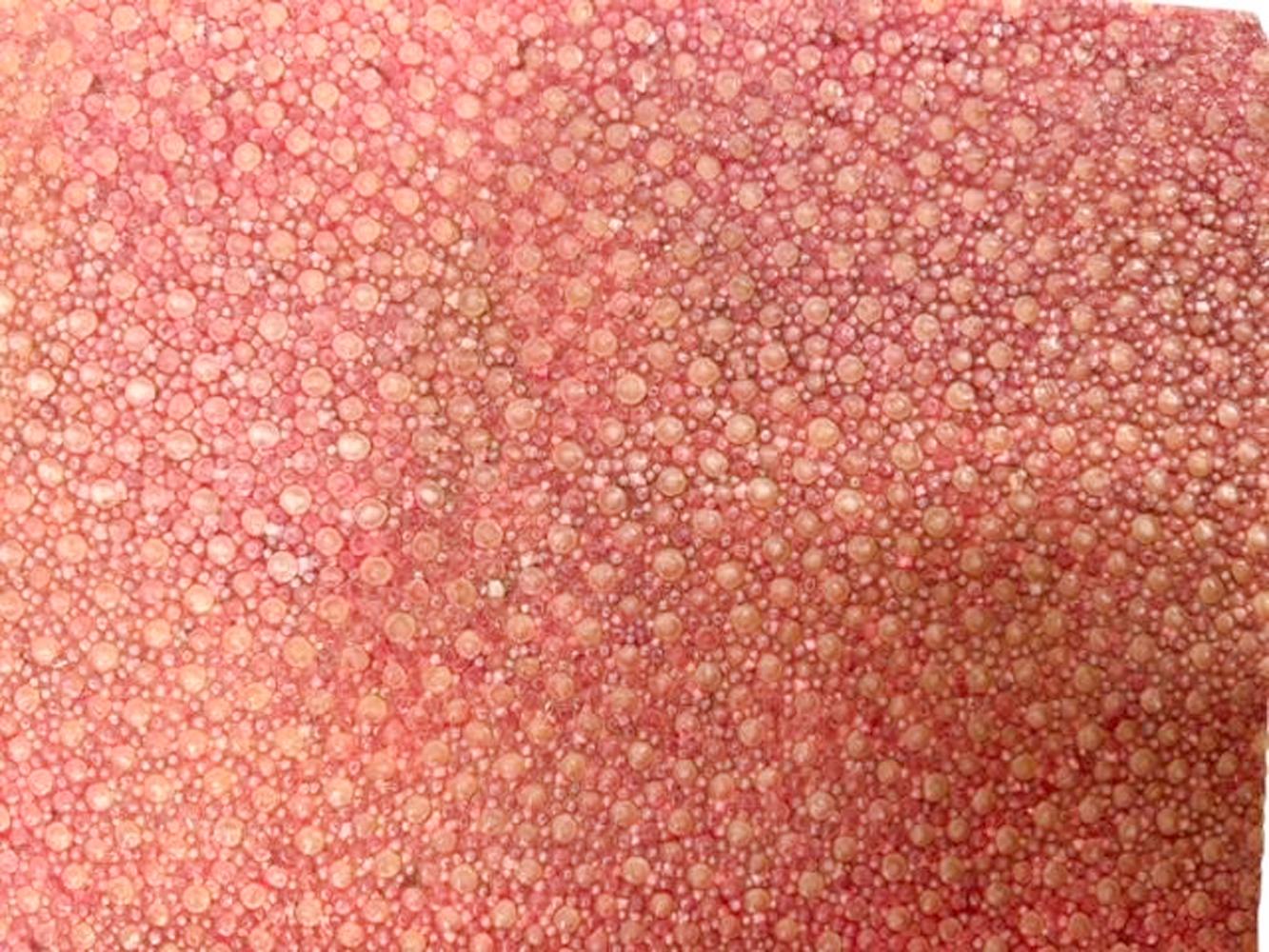Art Deco Shagreen Deckelschachtel in ungewöhnlicher Korallenroter Farbe auf Kugelfüßen, Art déco im Angebot 2