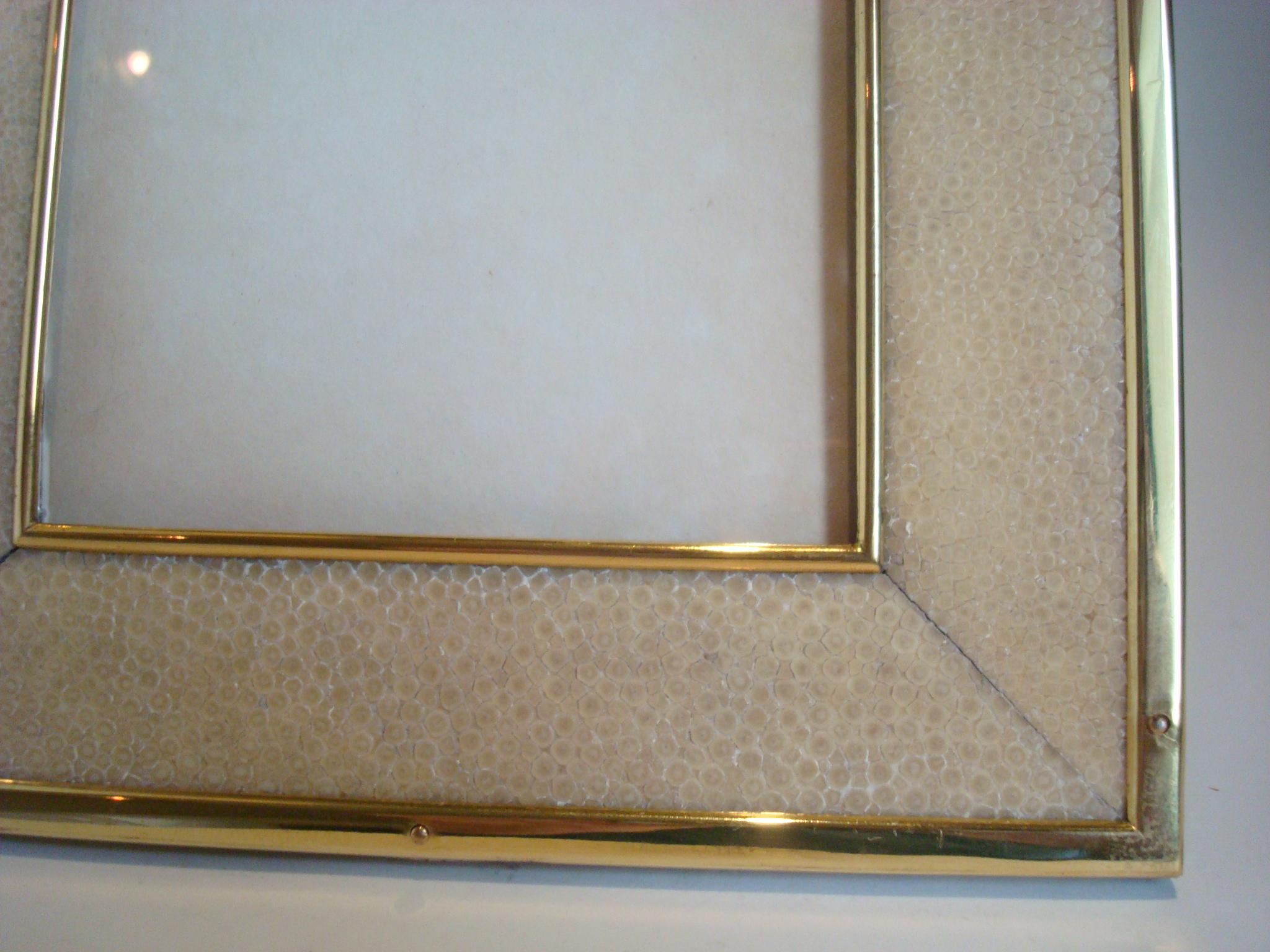 shagreen picture frame