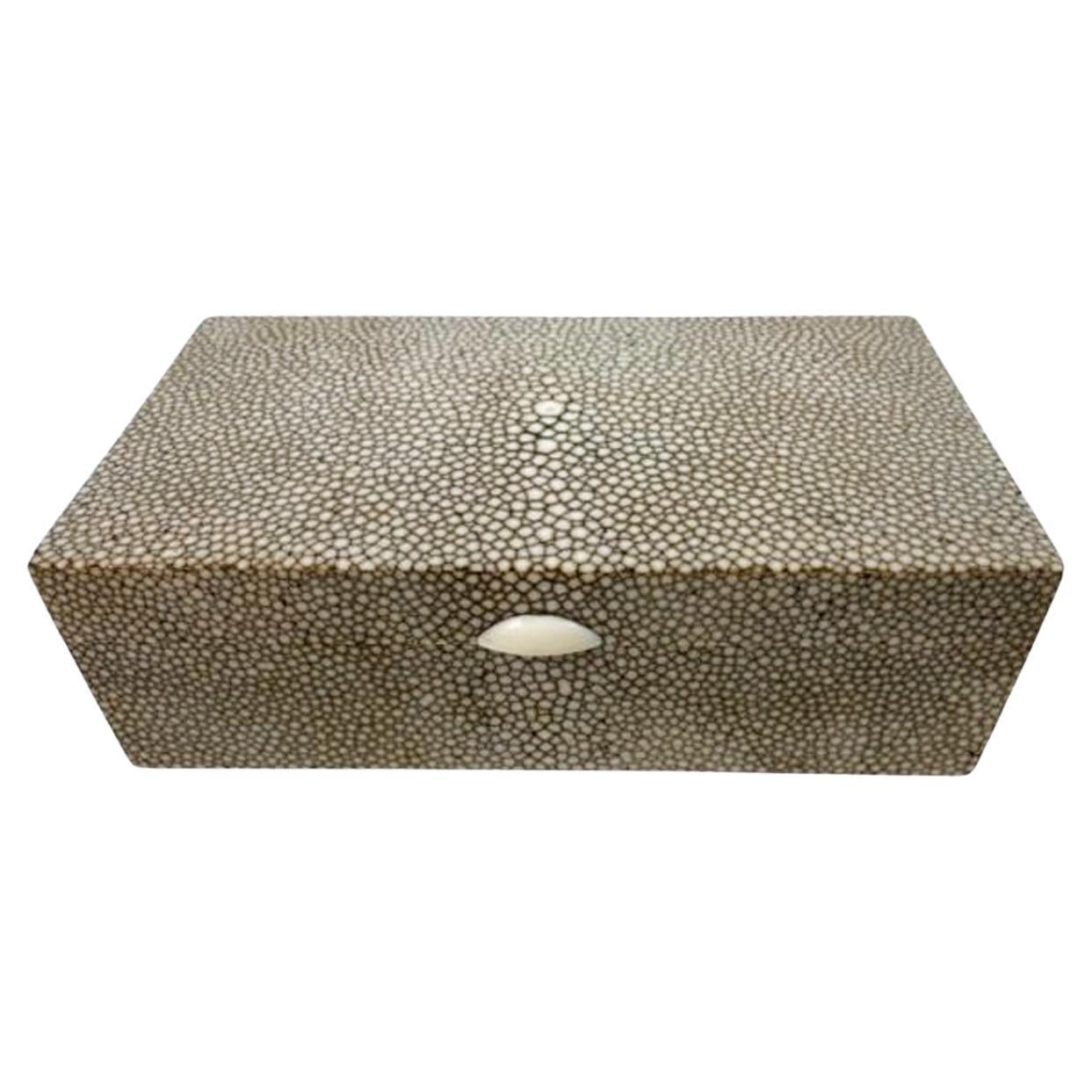 Art Decó Shagreen (Piel de Rayo) Caja de Madera Recubierta de Chapa de Color Gris Claro
