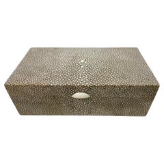 Art Deco Shagreen (Ray Skin) Veneer Covered Wood Box of Light Grey Color