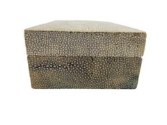 Art Deco Shagreen (Ray Skin) Veneer Covered Wood Cigar or Cigarette Box