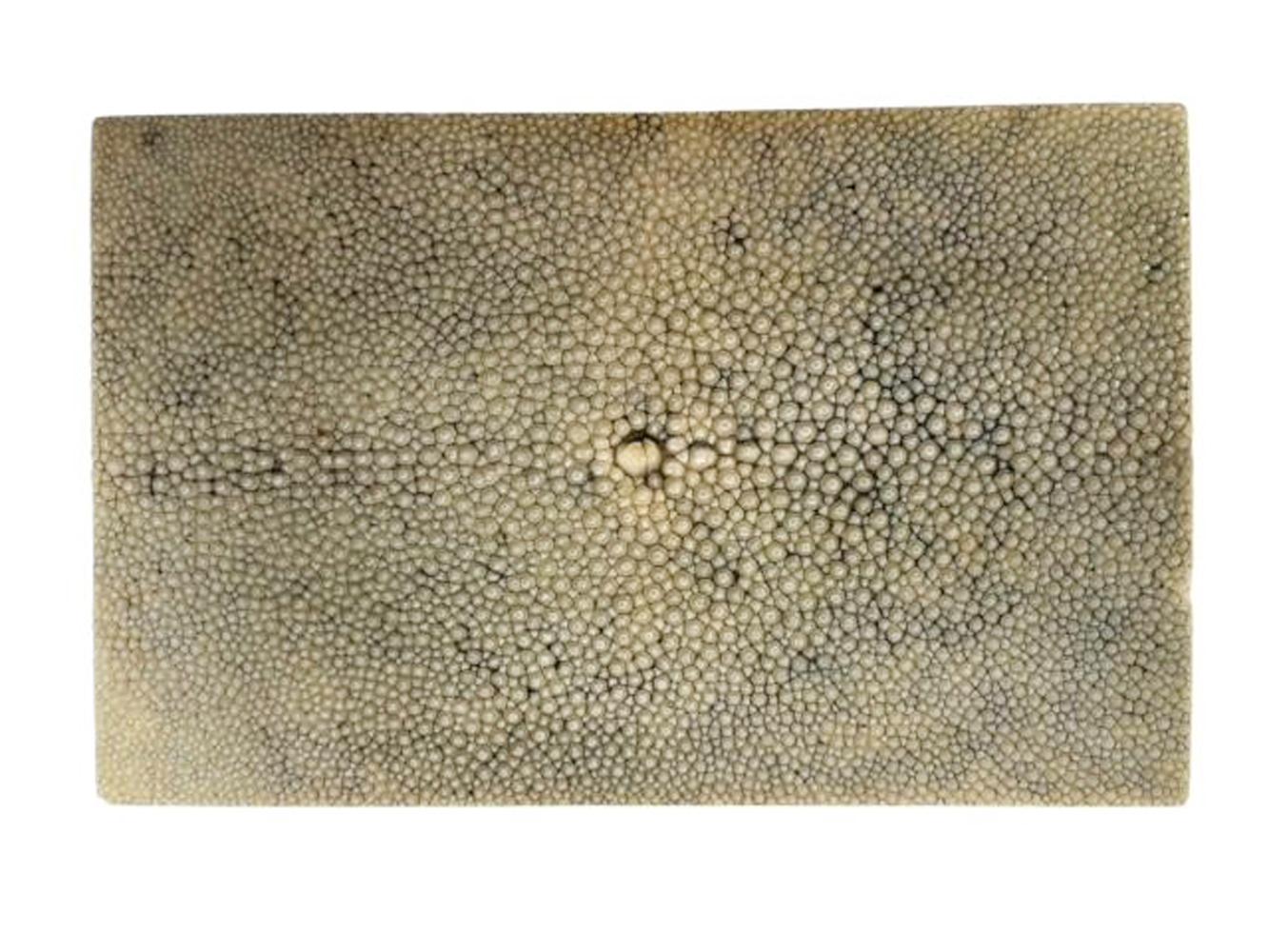 Art Deco Shagreen (Ray Skin) Veneer Covered Wood Cigar or Cigarette Box 2