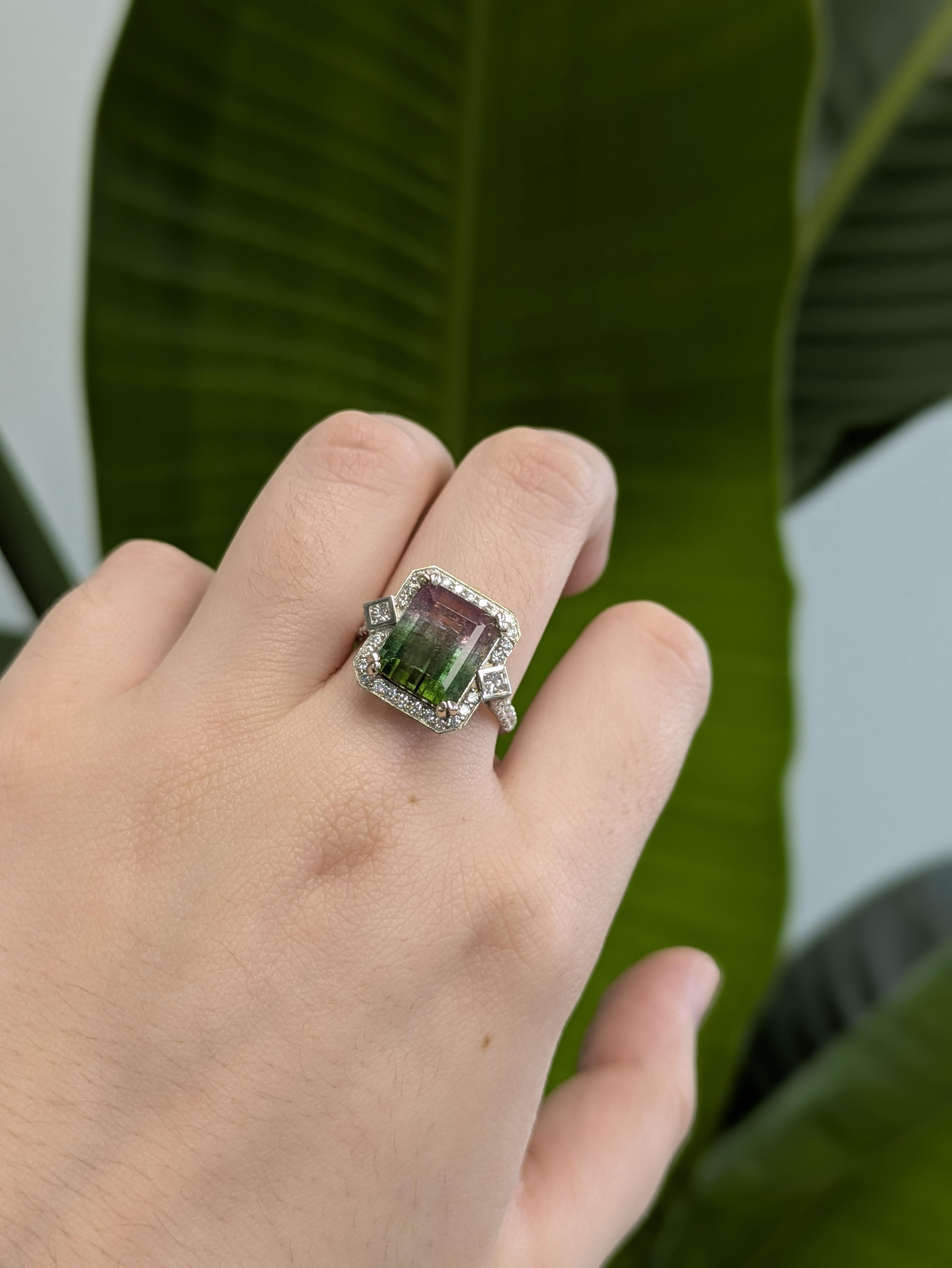 Audace e indimenticabile, questo anello con tormalina anguria dal taglio smeraldo da 5,37 carati è una vibrante espressione di colore e stile. Circondata da radiosi diamanti naturali, le sfumature rosa e verdi della gemma prendono vita con
