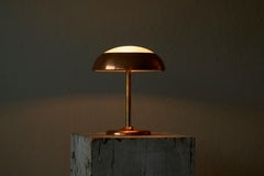Art Deco Table Lamp in Patinated Copper, Brass and Satin Glass 1950s