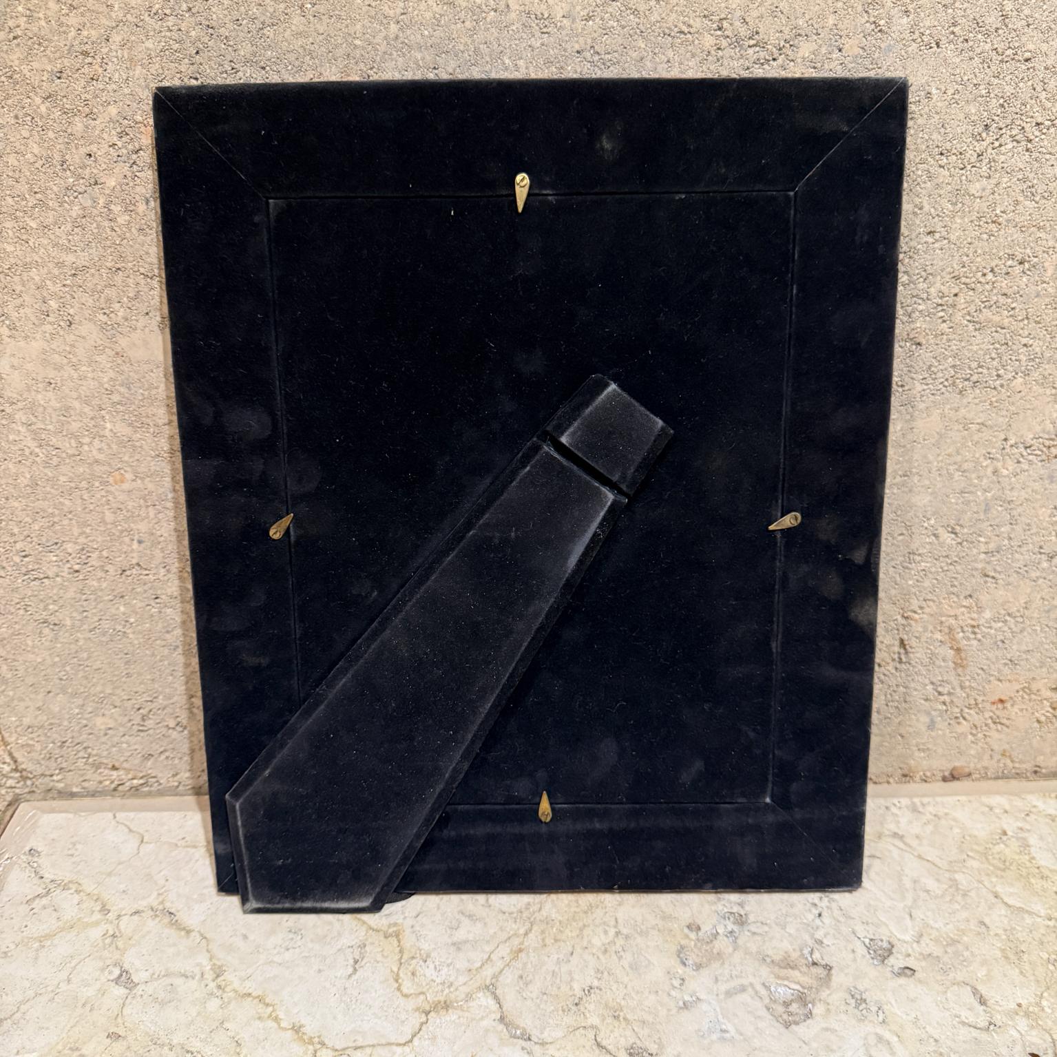 Art Deco Tiger Pattern Tessellated  Egg Shell Stone Picture Frame For Sale 3