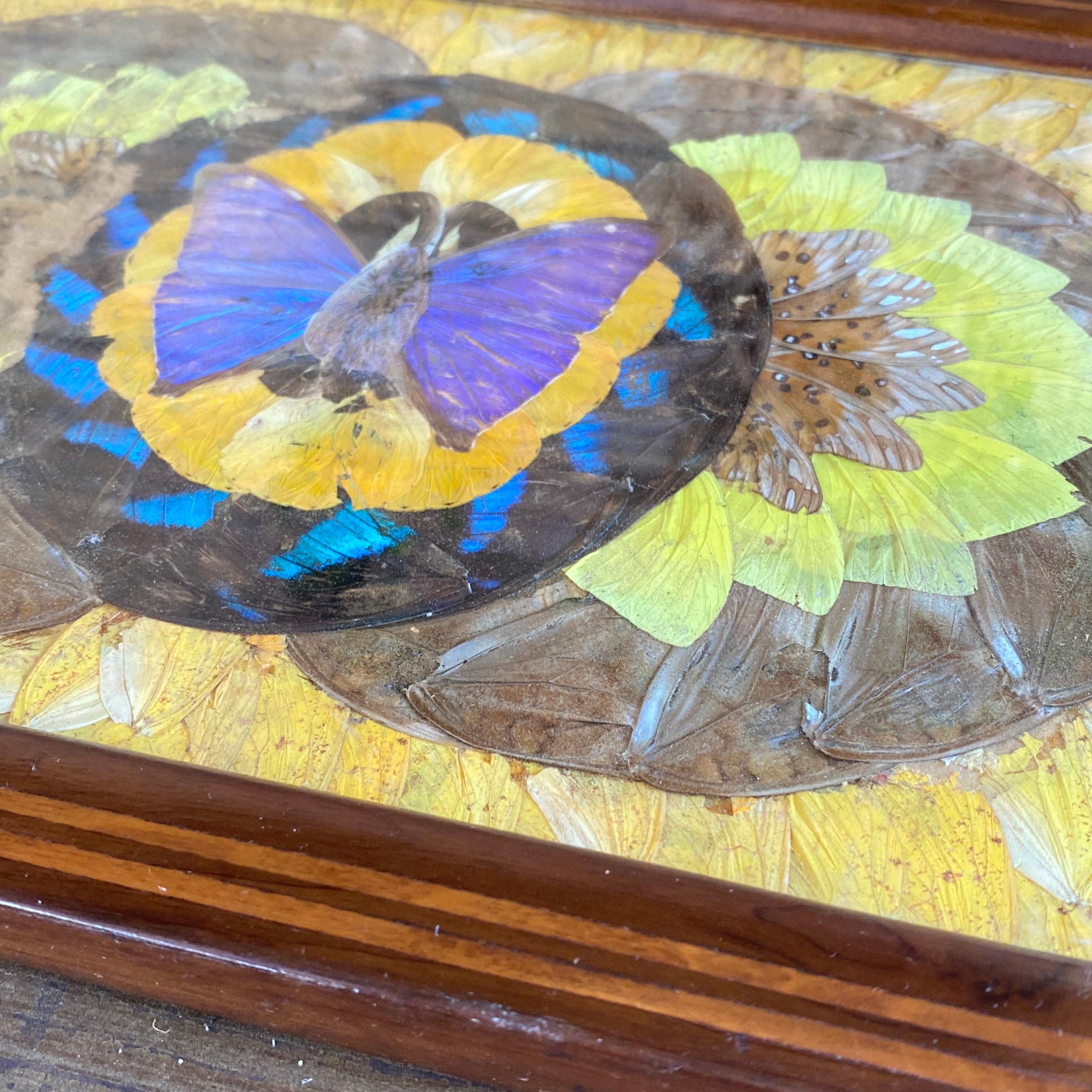 Mid-20th Century Art Deco Tray in Wood, with Butterfly Wings Pattern