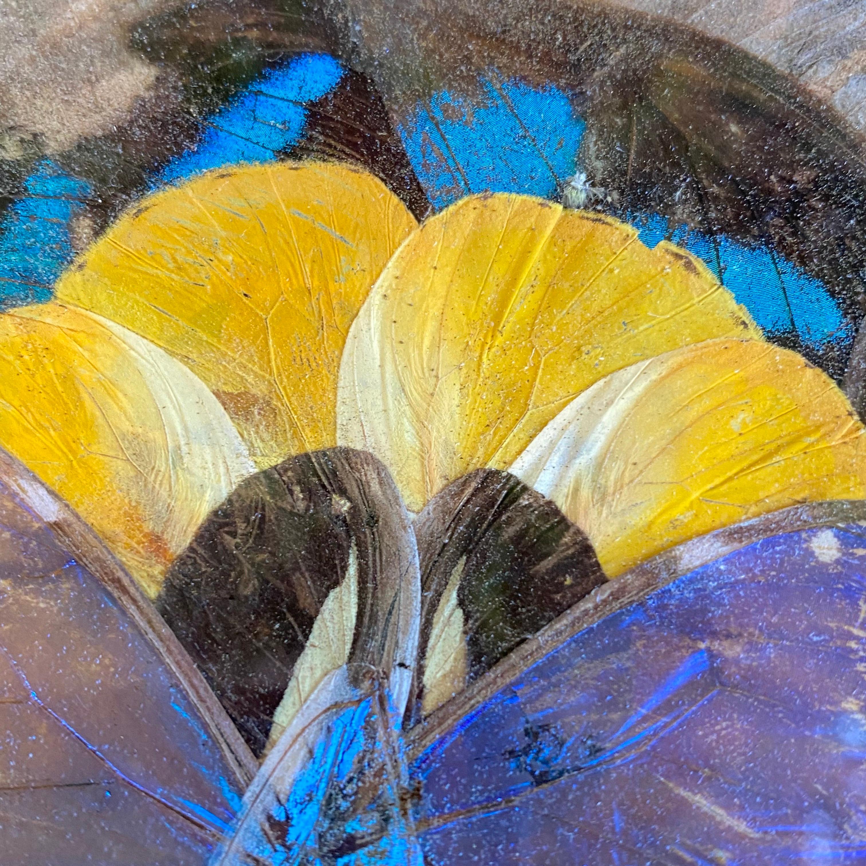 Art Deco Tray in Wood, with Butterfly Wings Pattern 4