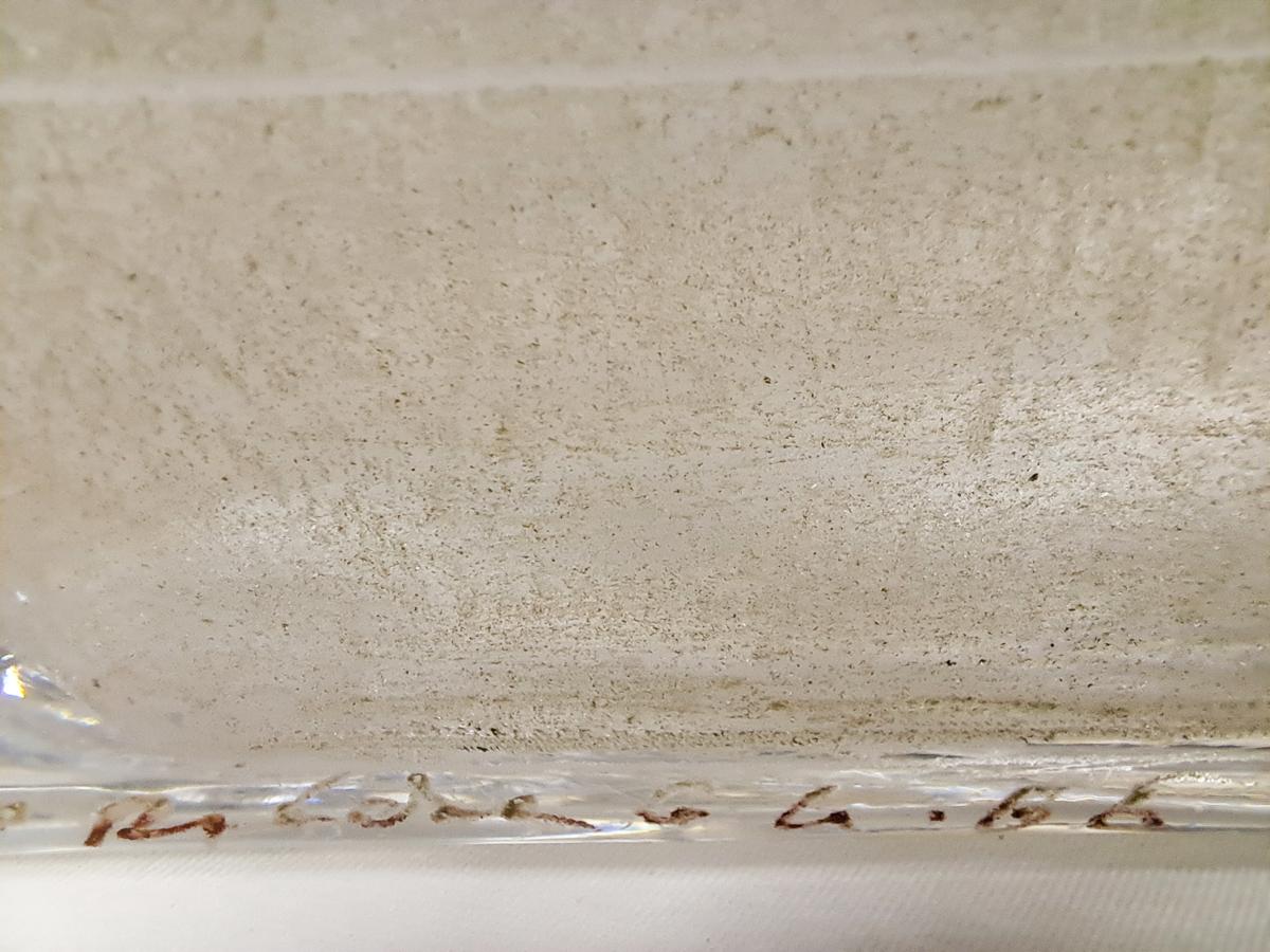 Vetro artistico Vaso Art Deco di A. Riecke, Francia - Firmato e datato in vendita