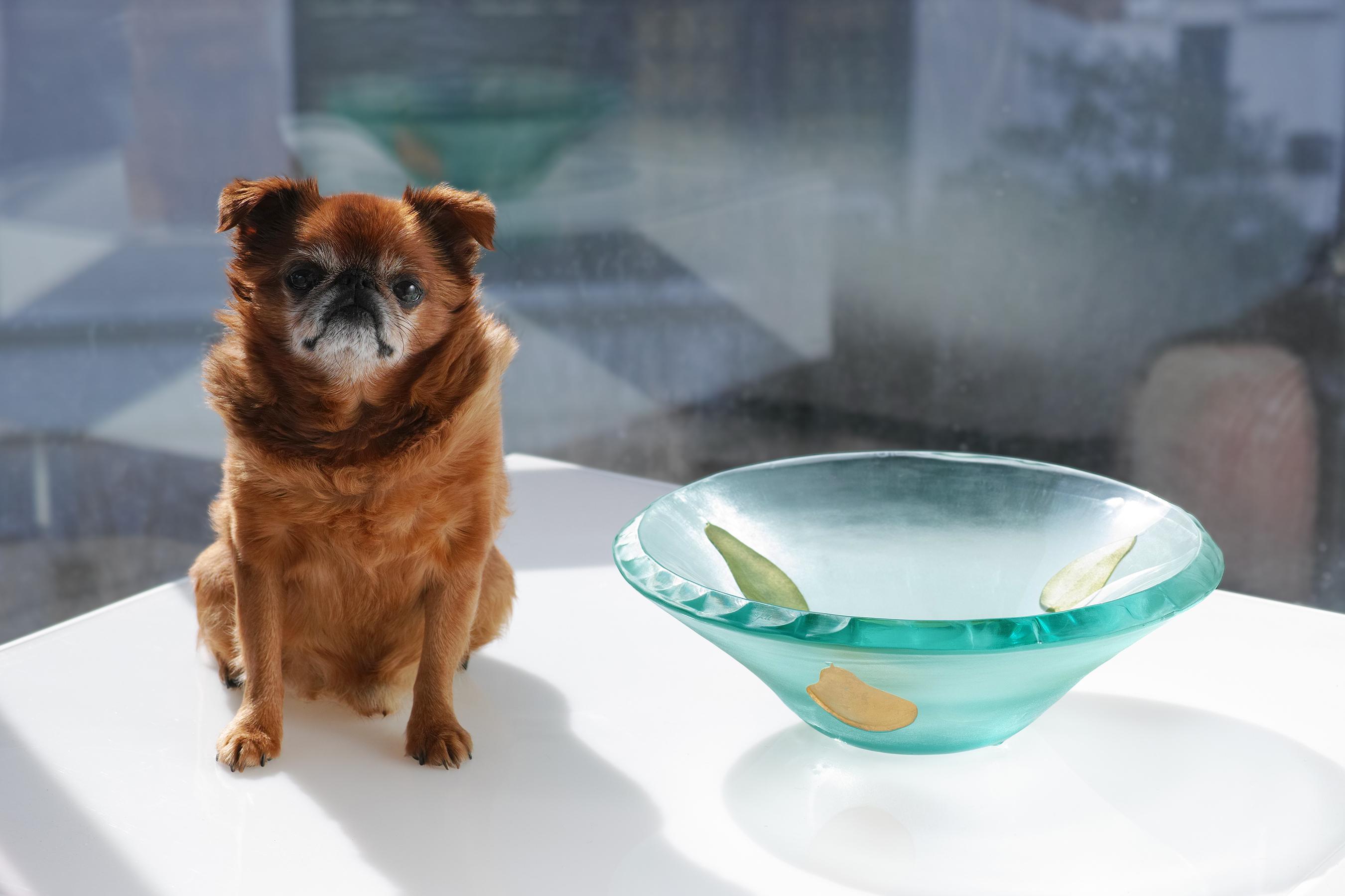 Te presentamos este cuenco de vidrio artístico, obra de Jeffrey Andrews para Felt Glass, originalmente vendido por Henri Bendel, Nueva York. Está compuesto por un grueso cristal de 3/4