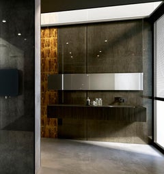 Art Glass E Charcoal Decorative Panel for Multiple Uses Dimension Customizable