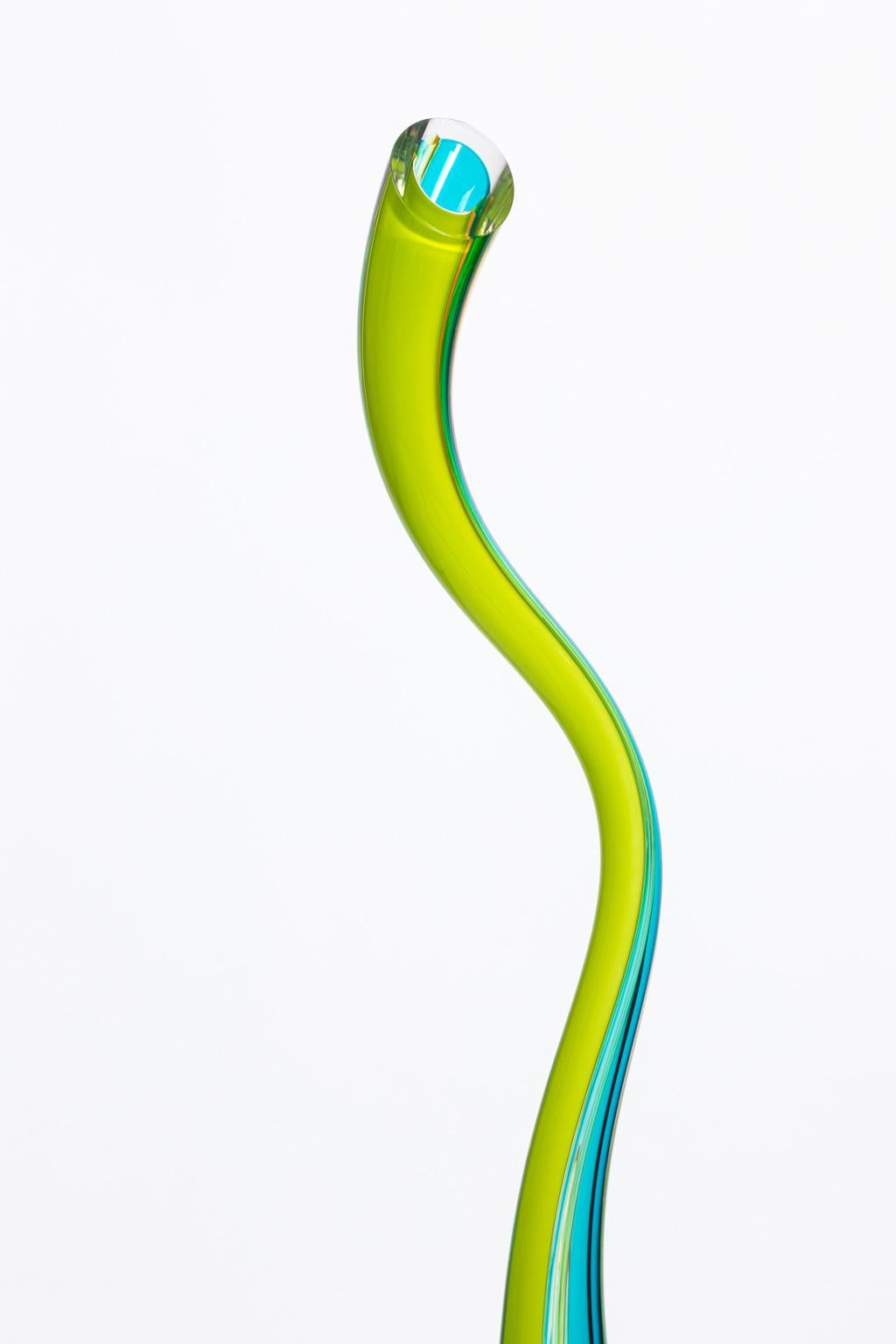 Kunstglas Freiform Gänsehals Zeitgenössische Vase 6