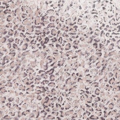 Panneau décoratif en verre d'art en forme de jarre pour plusieurs utilisations Dimension personnalisable