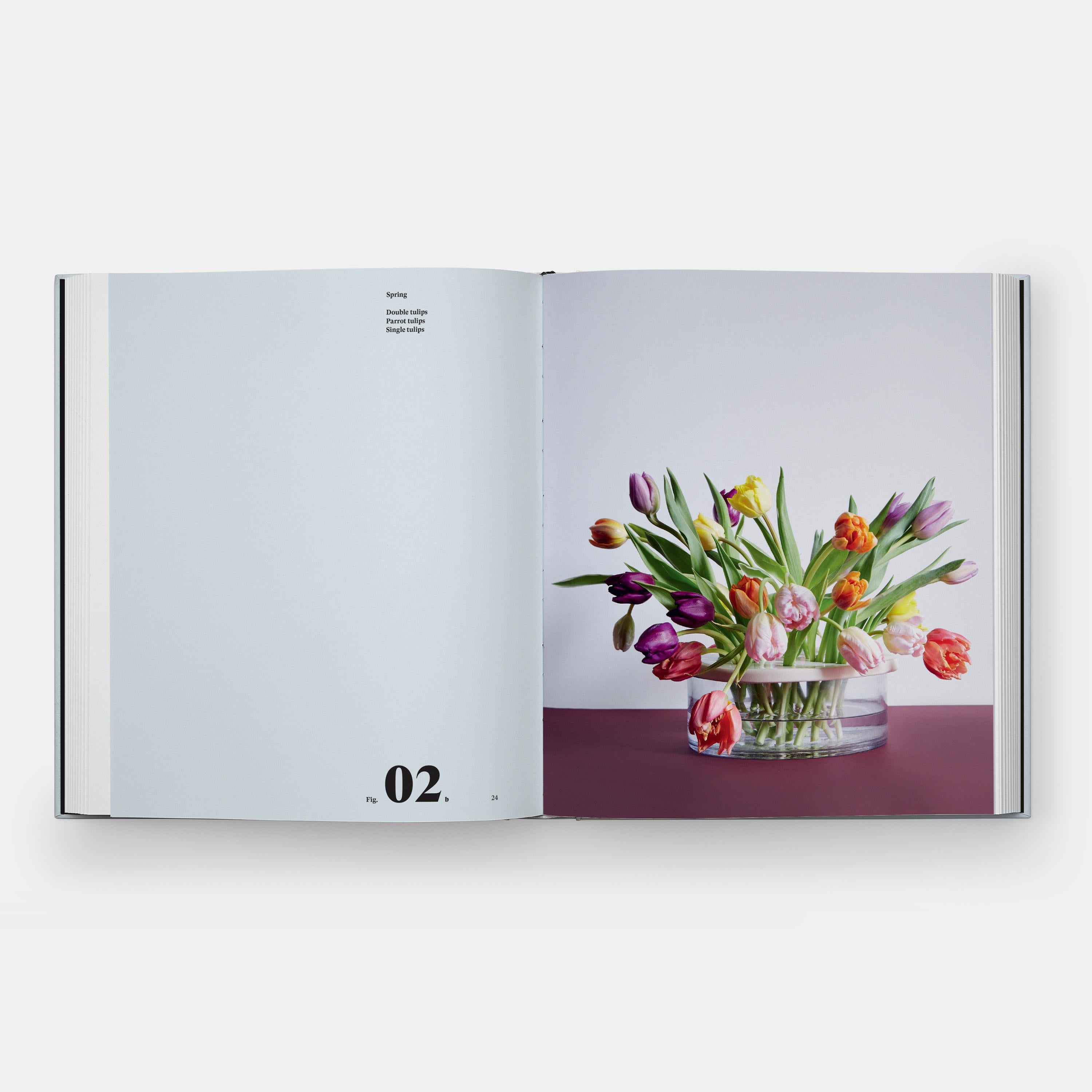 Kunst in der Blume: Inspiration in Kunst und Natur finden (Chinesisch) im Angebot