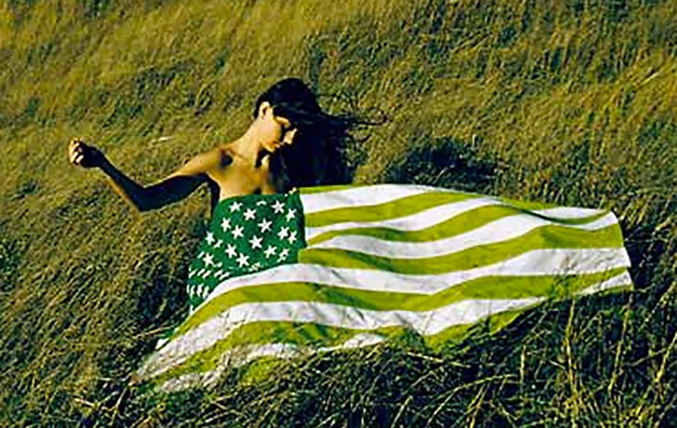 C-Print Art Kane - Nachlass Grüne Flagge, 1970 im Angebot 1