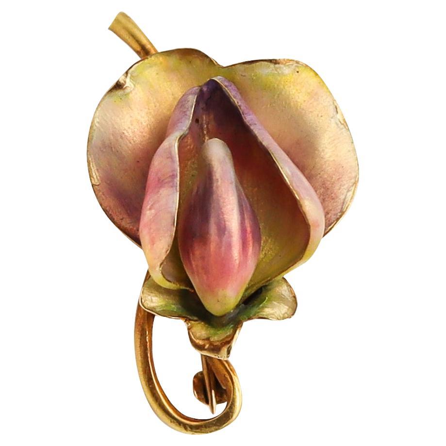 Art Nouveau 1900 Edwardian Enamel Orchid Flower Brooch In 18Kt Yellow Gold For Sale