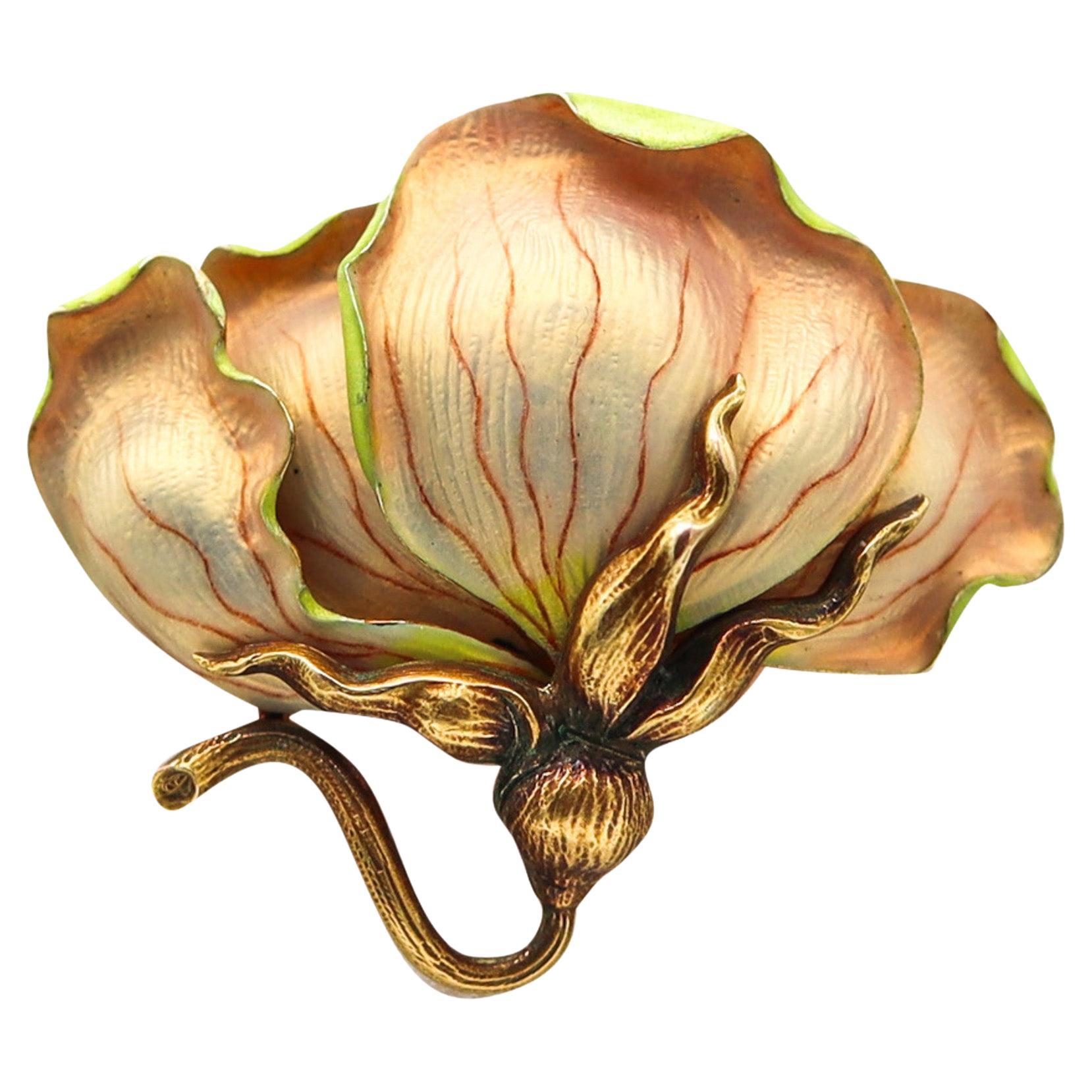 Jugendstil 1900 Opalescent emaillierte Orchideen-Anhänger-Brosche aus 14 Karat Gelbgold