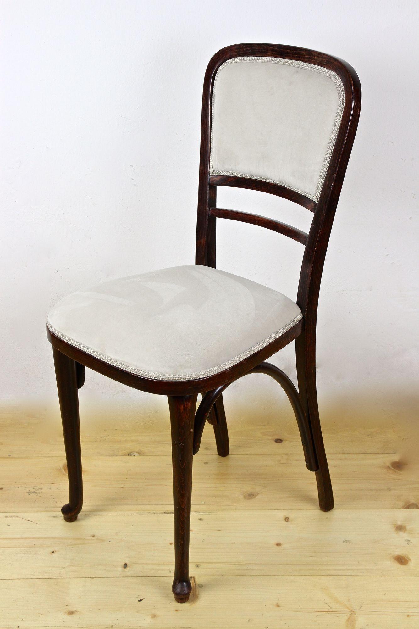 Art Nouveau Bentwood Chair by Thonet, Newly Upholstered, Austria, circa 1905 In Good Condition In Lichtenberg, AT