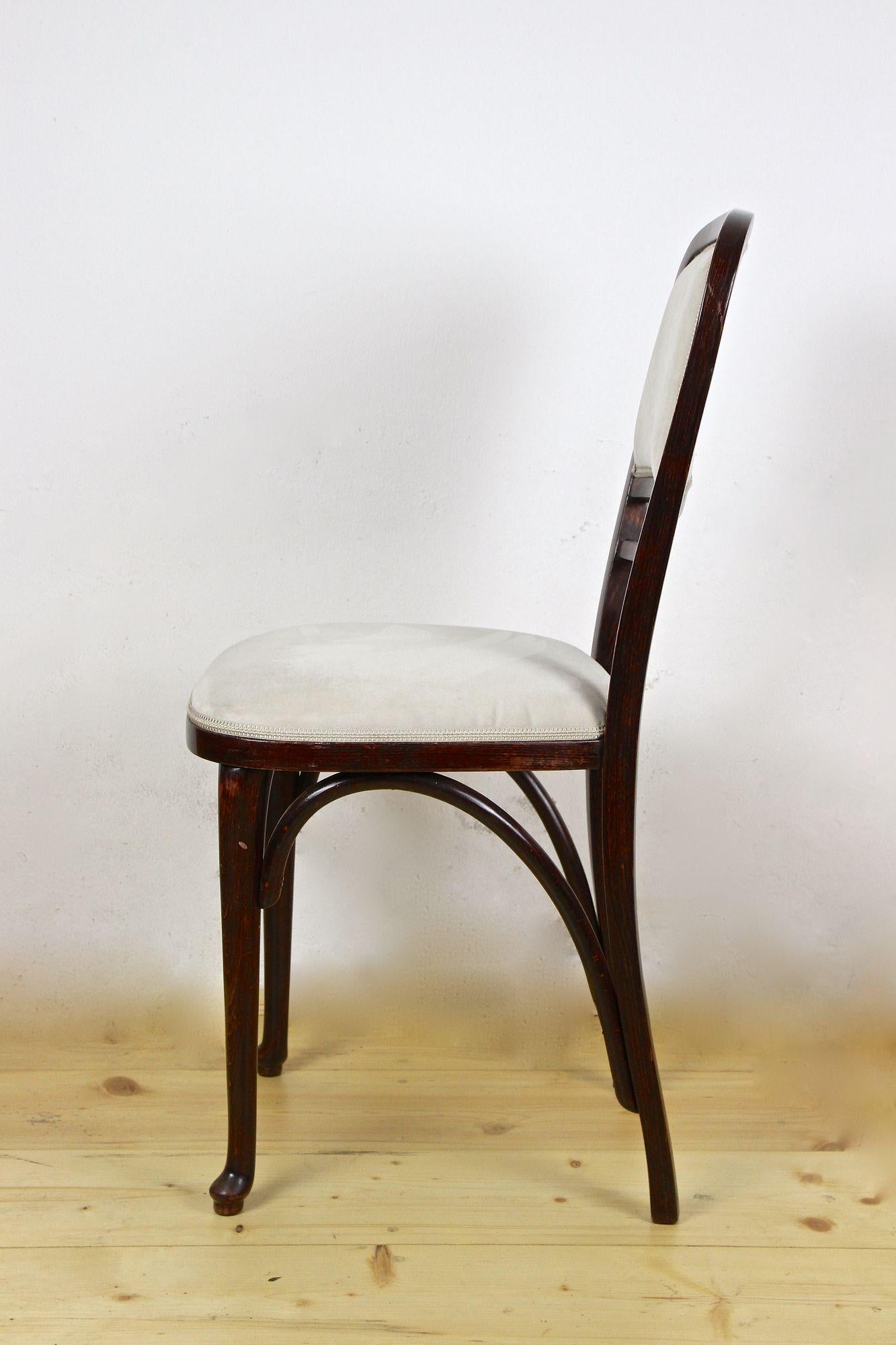 20th Century Art Nouveau Bentwood Chair by Thonet, Newly Upholstered, Austria, circa 1905