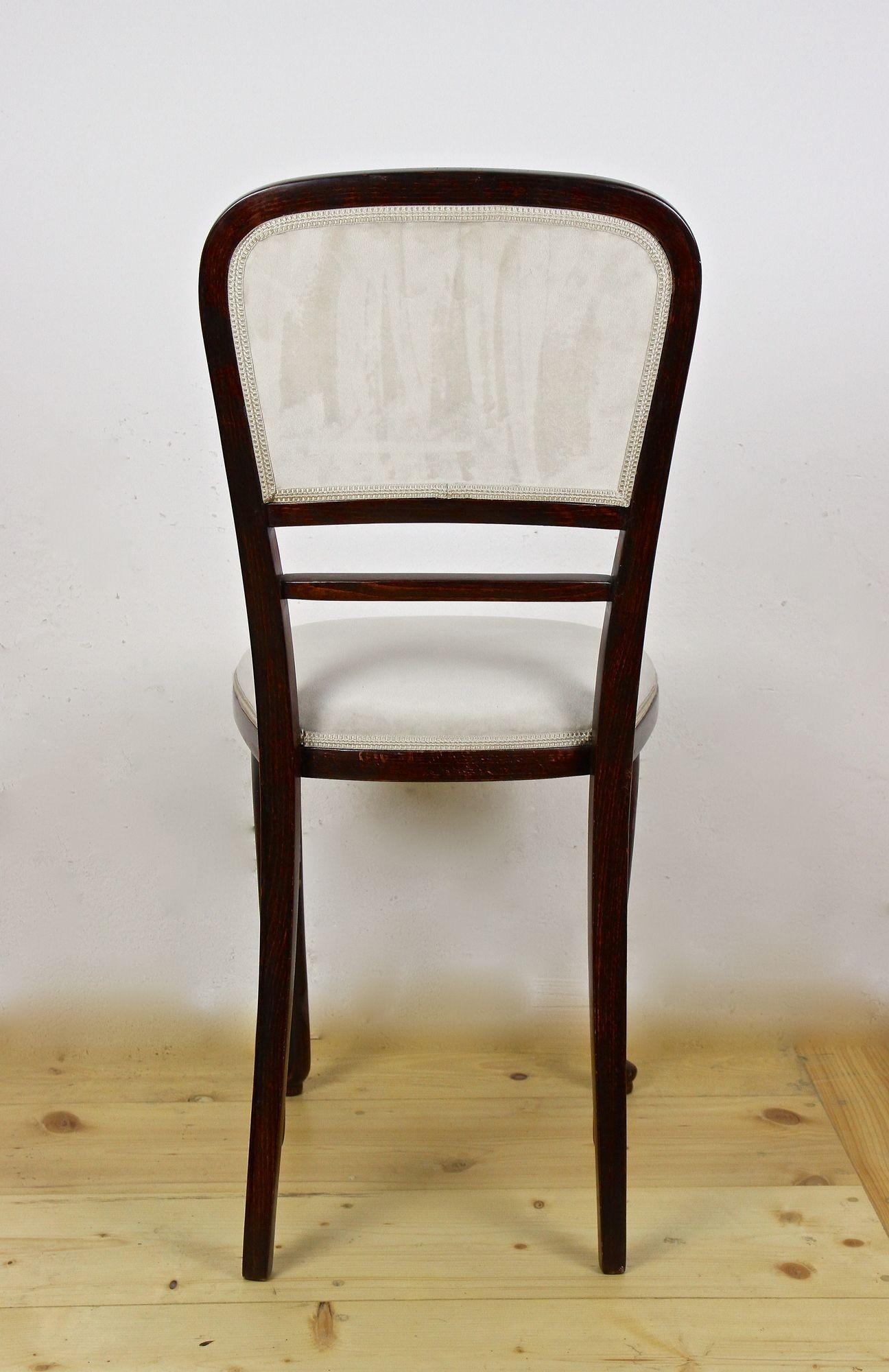 Art Nouveau Bentwood Chair by Thonet, Newly Upholstered, Austria, circa 1905 1