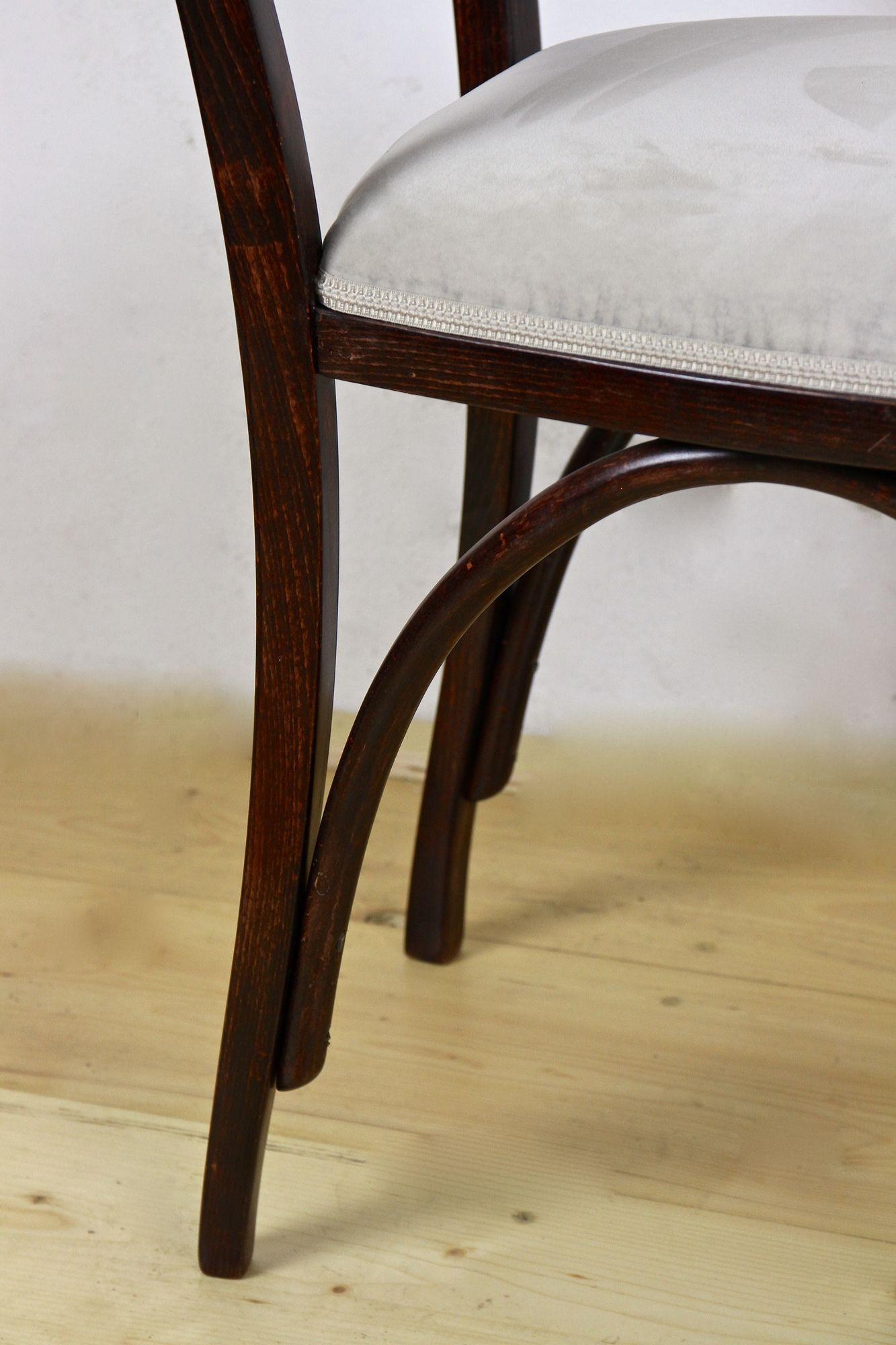 Art Nouveau Bentwood Chair by Thonet, Newly Upholstered, Austria, circa 1905 3