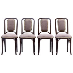 Antique Art Nouveau Bentwood Chairs by Thonet circa 1905, Set of 4