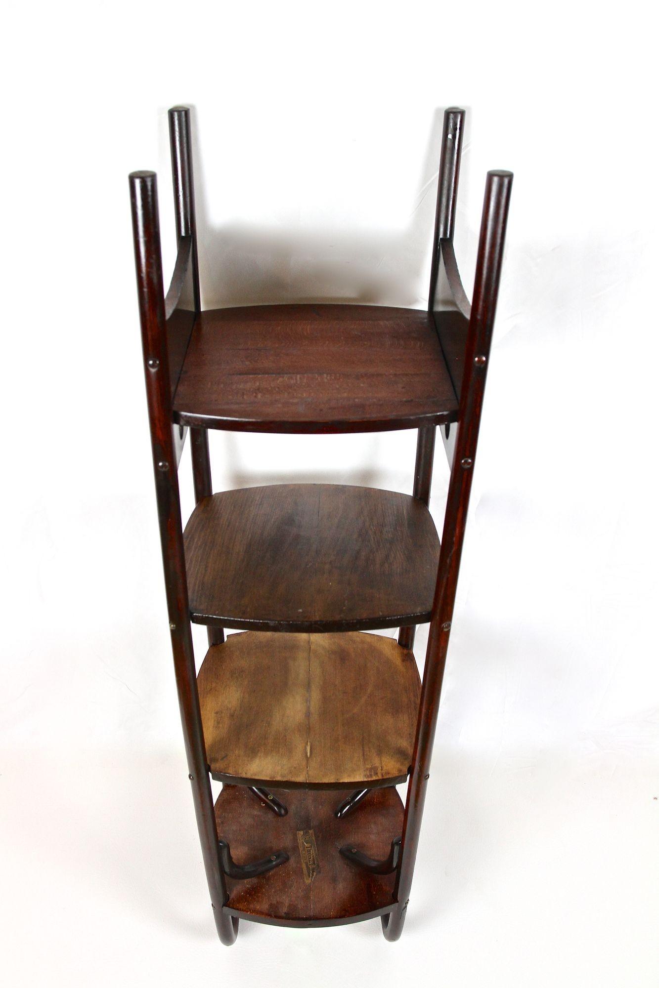 Art Nouveau Bentwood Etagere/ Pedestal/ Plant Stand by Thonet, AT, ca. 1906 7